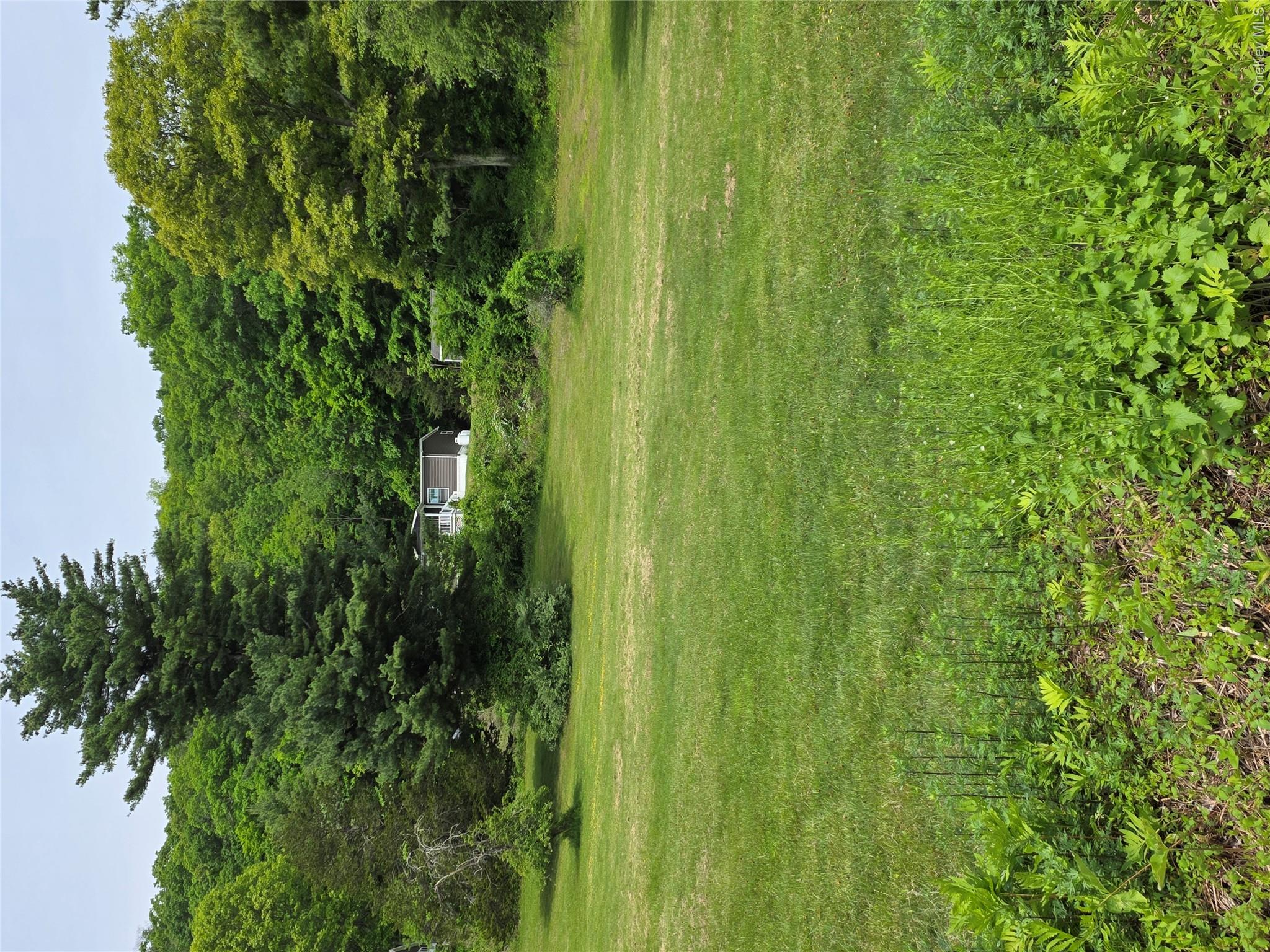 559 Lake Road Pine Plains, NY 12567 - Photo 14 of 16
