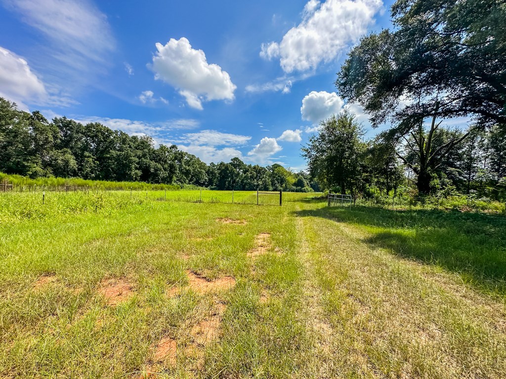 543 St Stephens Road Slocomb, AL 36375 - Photo 5 of 22