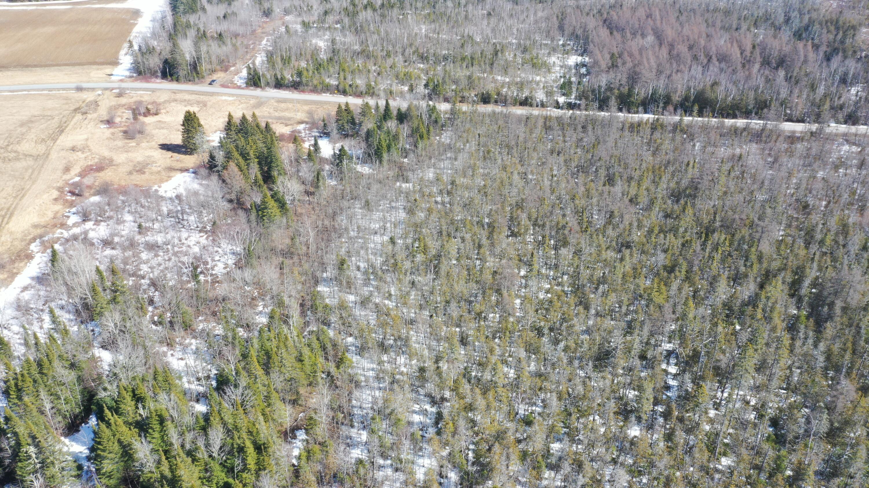 DJI_0766