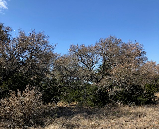 306 Shelf Rock Road Georgetown, TX 78628 - Photo 1 of 1 Lot 2, 302 Shelf Rock Rd