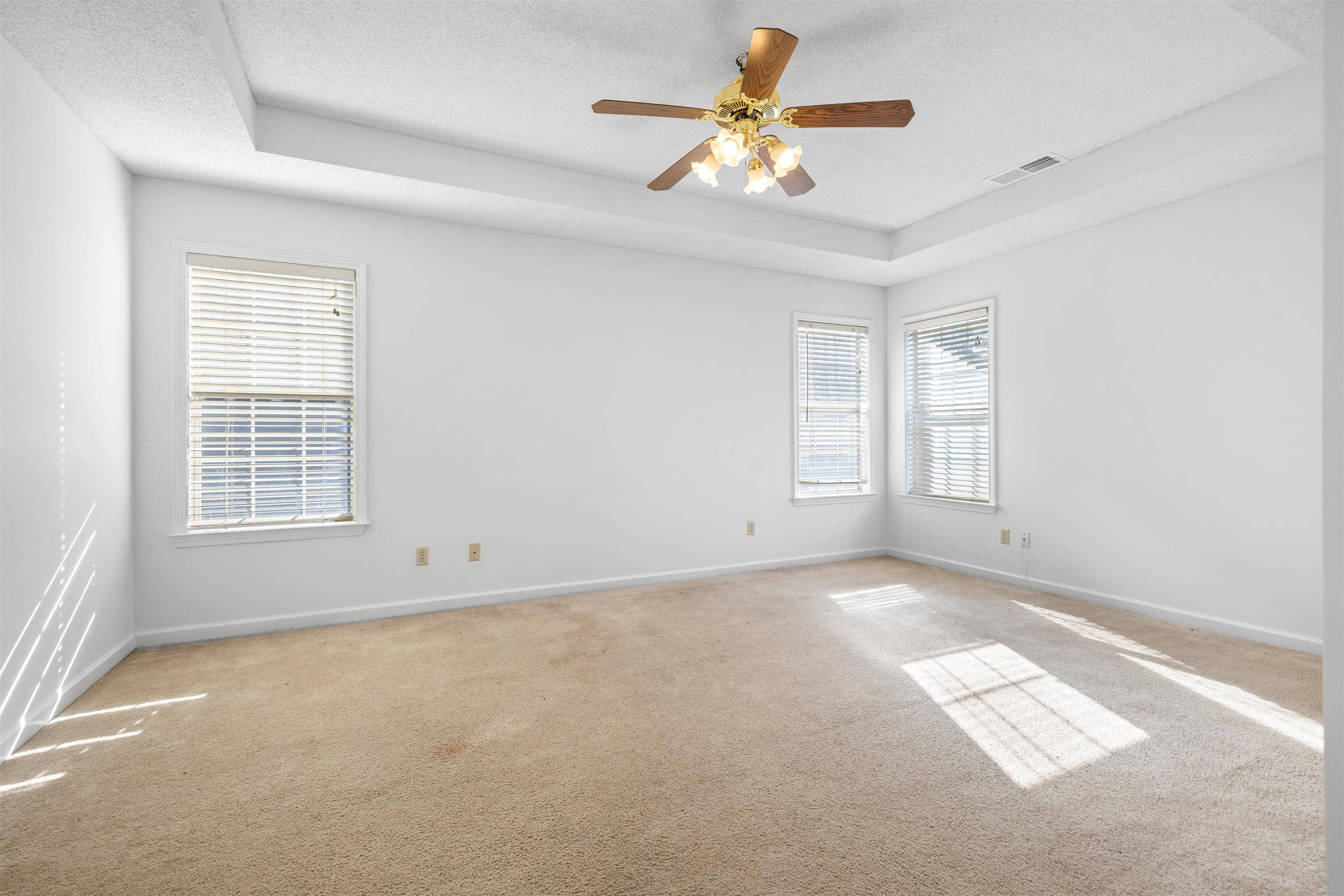 7361 Appling Ridge Drive Cordova, TN 38018 - Photo 20 of 31 Empty room featuring a raised ceiling, a textured ceiling, ceiling fan, and carpet