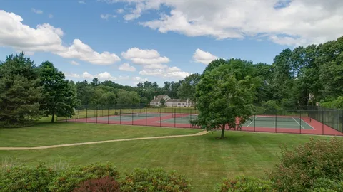 a view of a big yard with large trees
