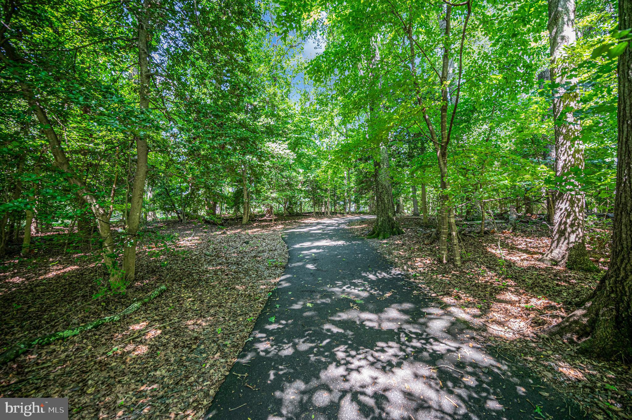 2215 Glencourse Lane Reston, VA 20191 - Photo 51 of 68