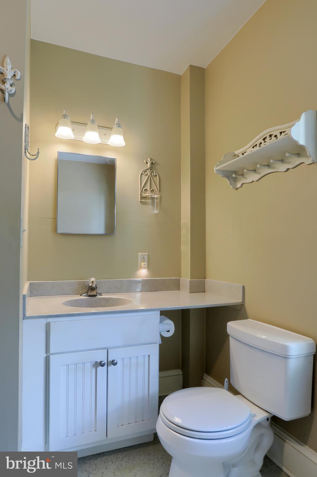 1141 Letort Road Conestoga, PA 17516 - Photo 28 of 49 a bathroom with a toilet a sink and mirror