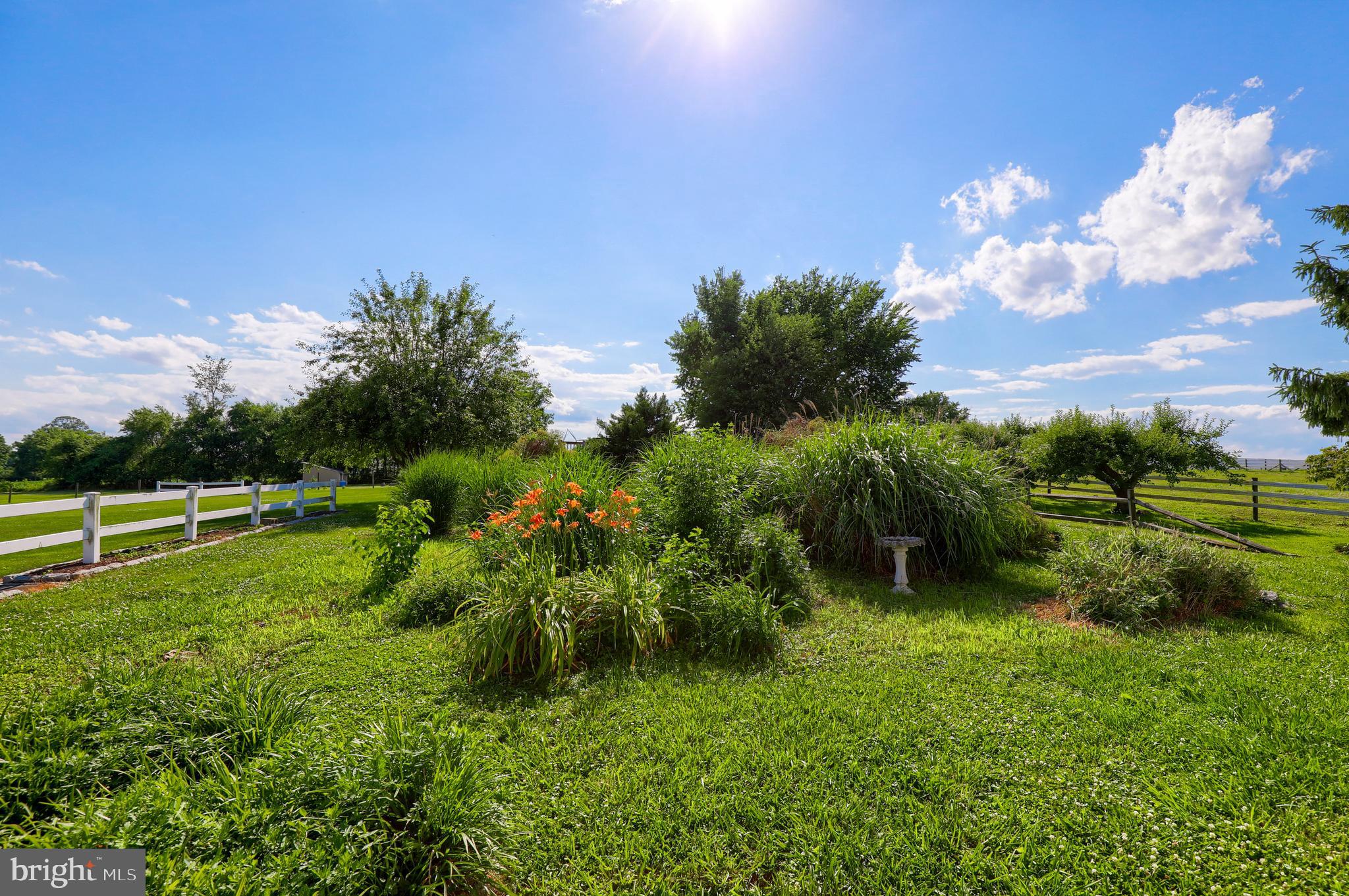 1141 Letort Road Conestoga, PA 17516 - Photo 49 of 49 a backyard of a house with lots of green space
