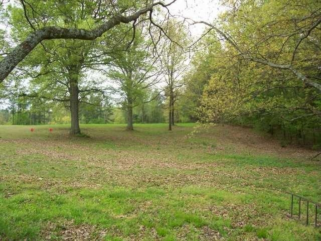 11381 Macon Road Eads, TN 38028 - Photo 5 of 21 a view of outdoor space with deck and yard
