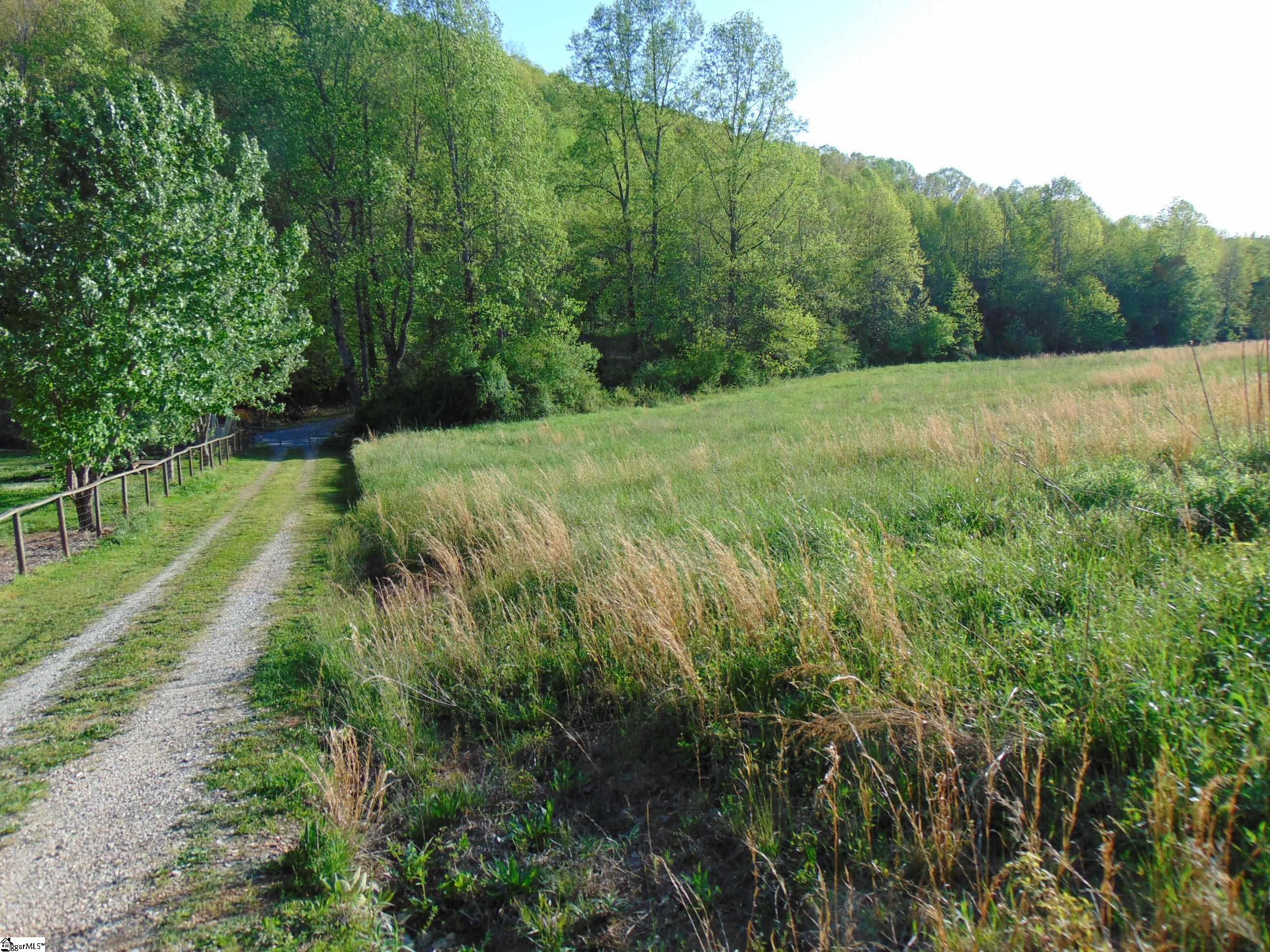 65 Quantums Way Marietta, SC 29661 - Photo 1 of 13