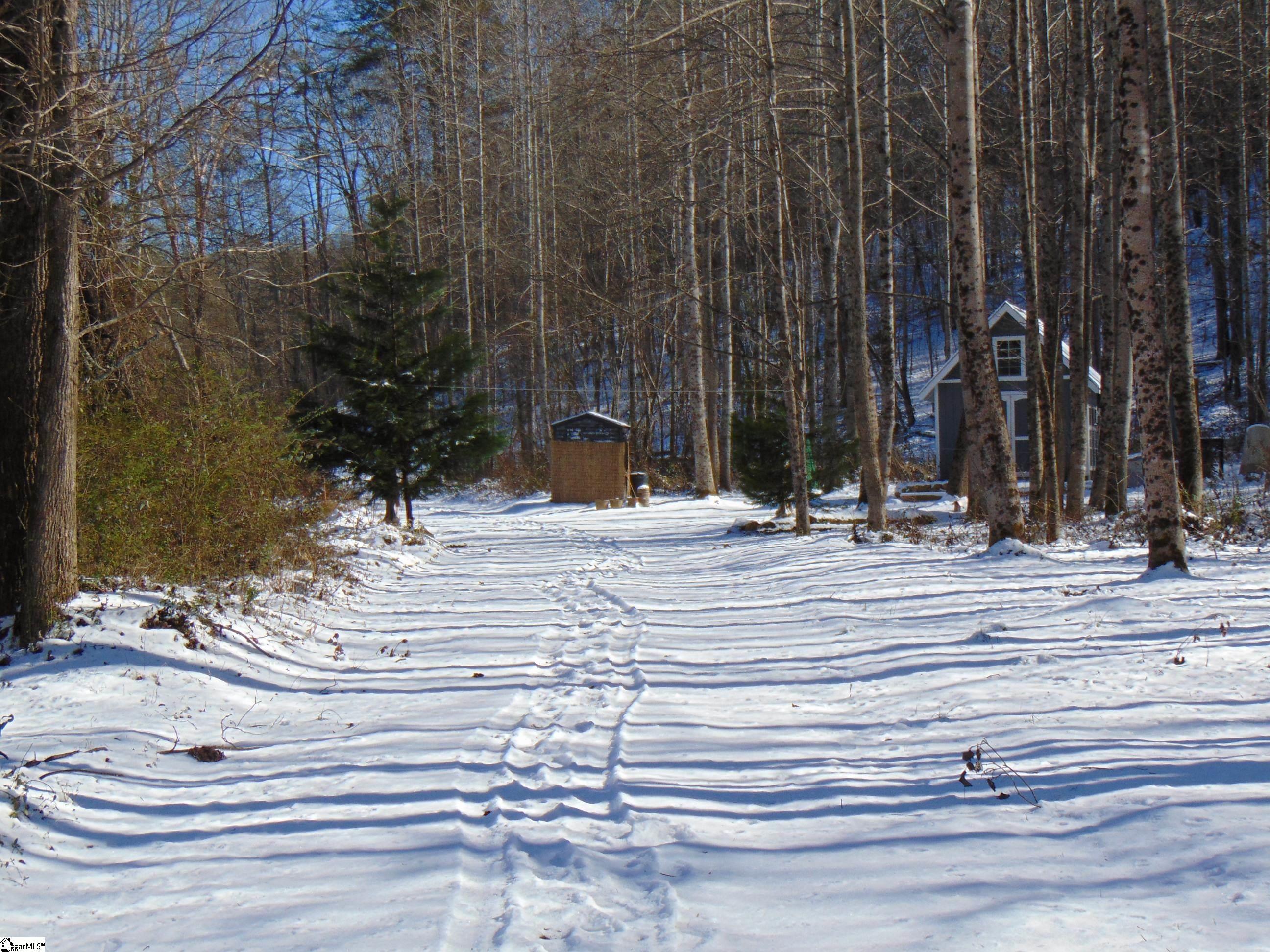 65 Quantums Way Marietta, SC 29661 - Photo 11 of 13