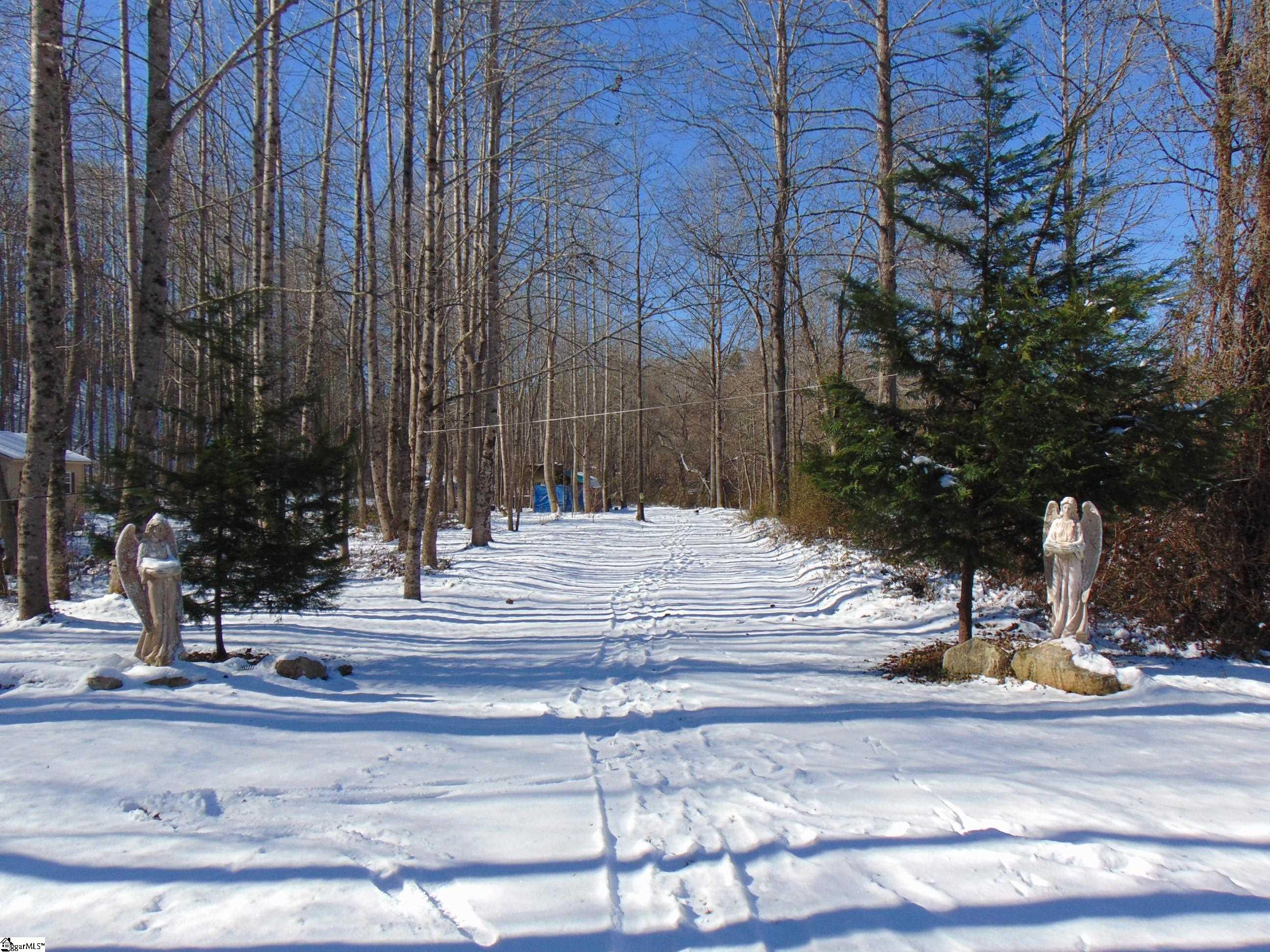 65 Quantums Way Marietta, SC 29661 - Photo 12 of 13