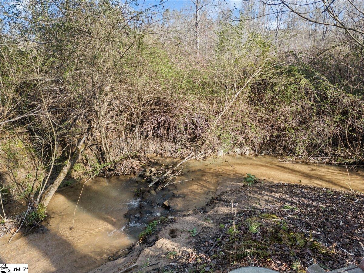 65 Quantums Way Marietta, SC 29661 - Photo 13 of 13