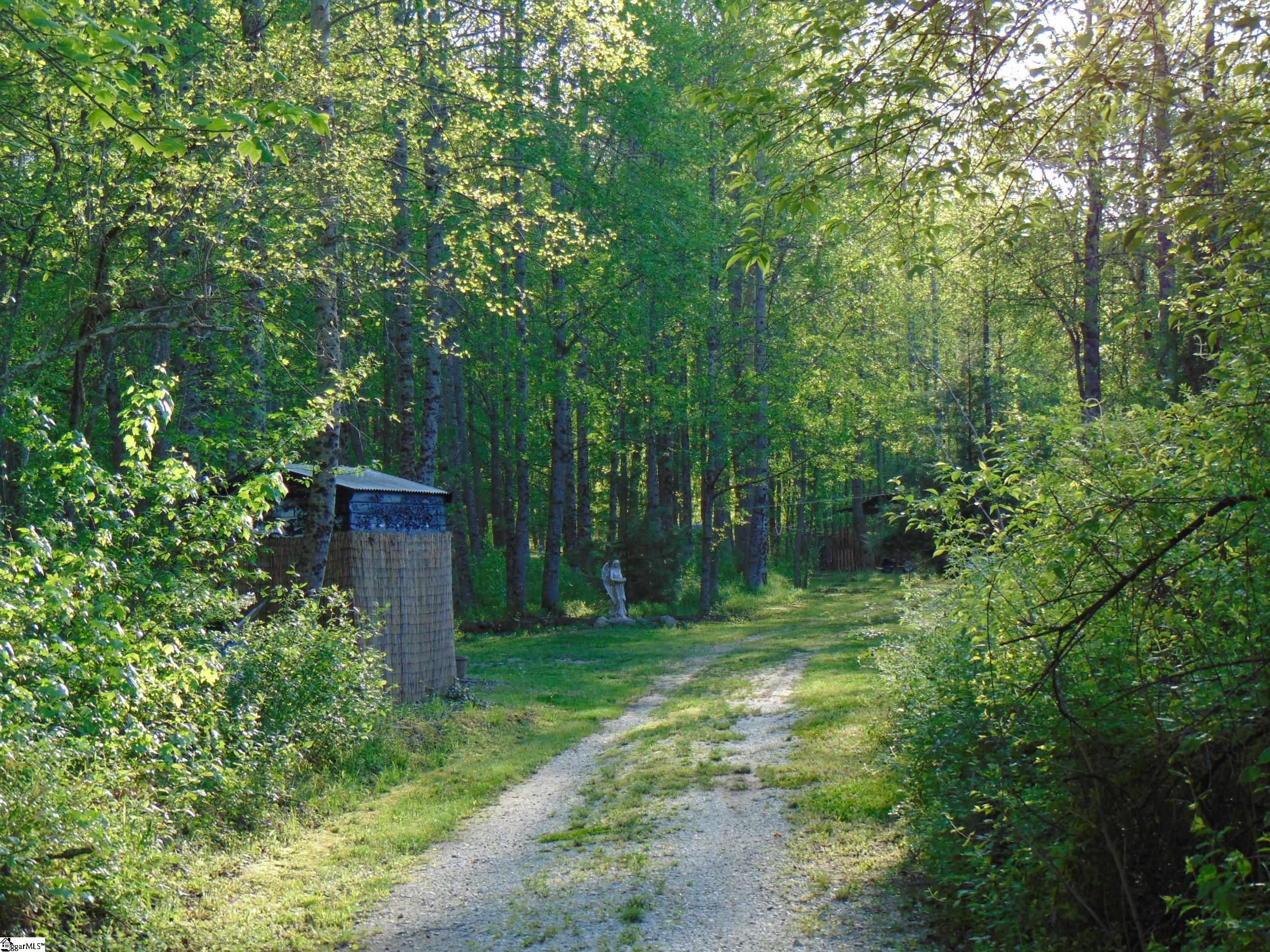 65 Quantums Way Marietta, SC 29661 - Photo 2 of 13