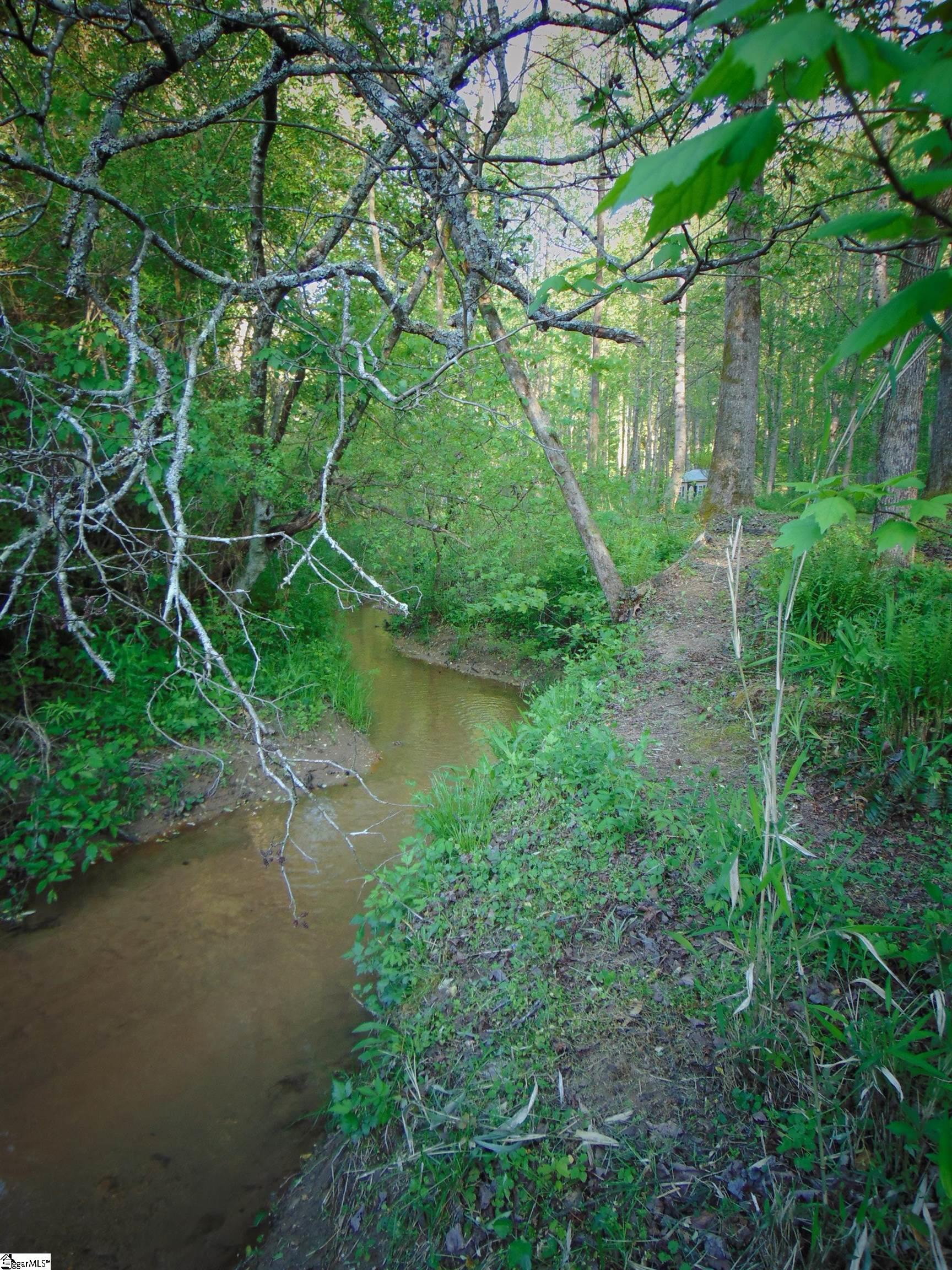 65 Quantums Way Marietta, SC 29661 - Photo 6 of 13