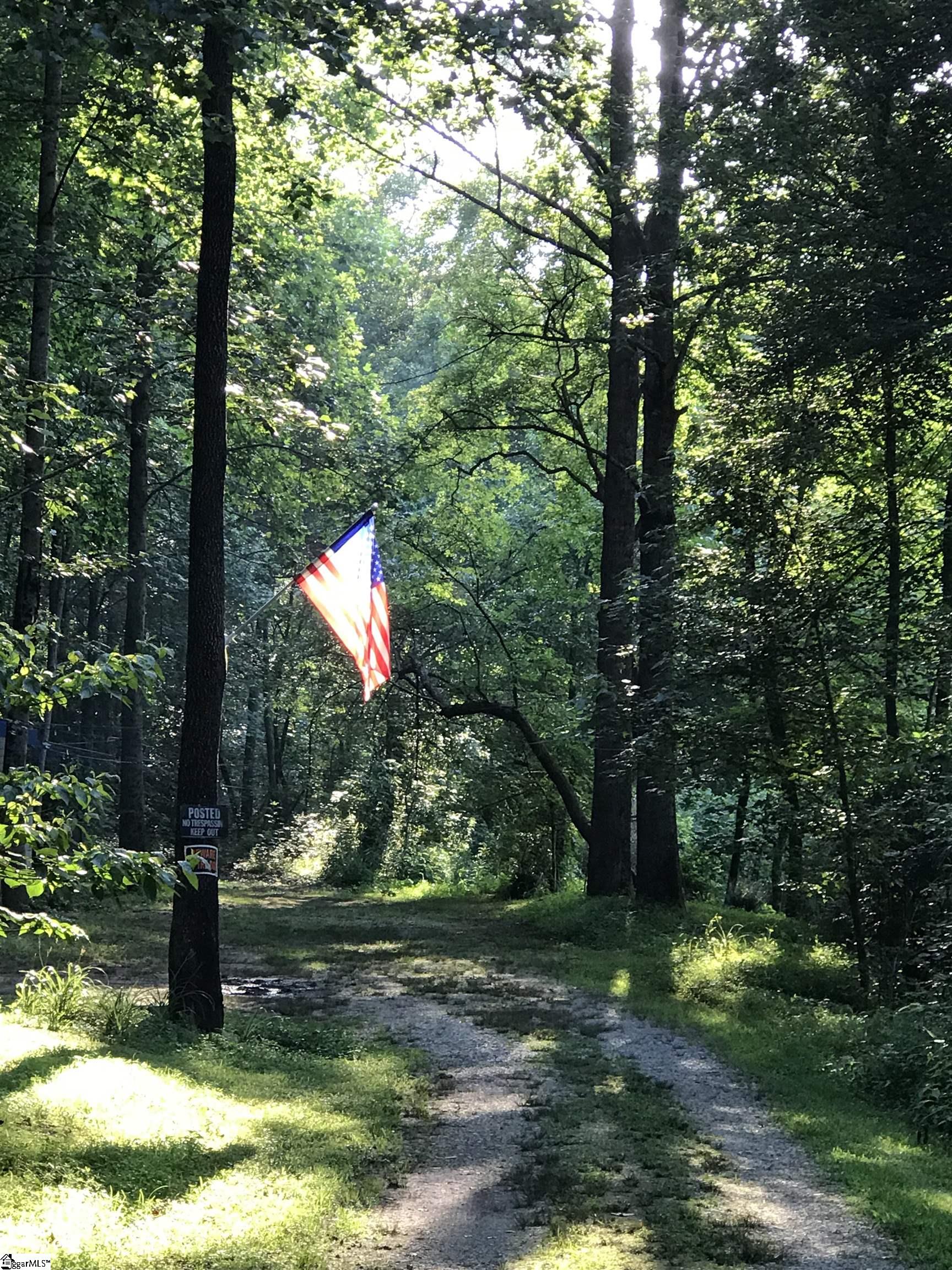 65 Quantums Way Marietta, SC 29661 - Photo 8 of 13