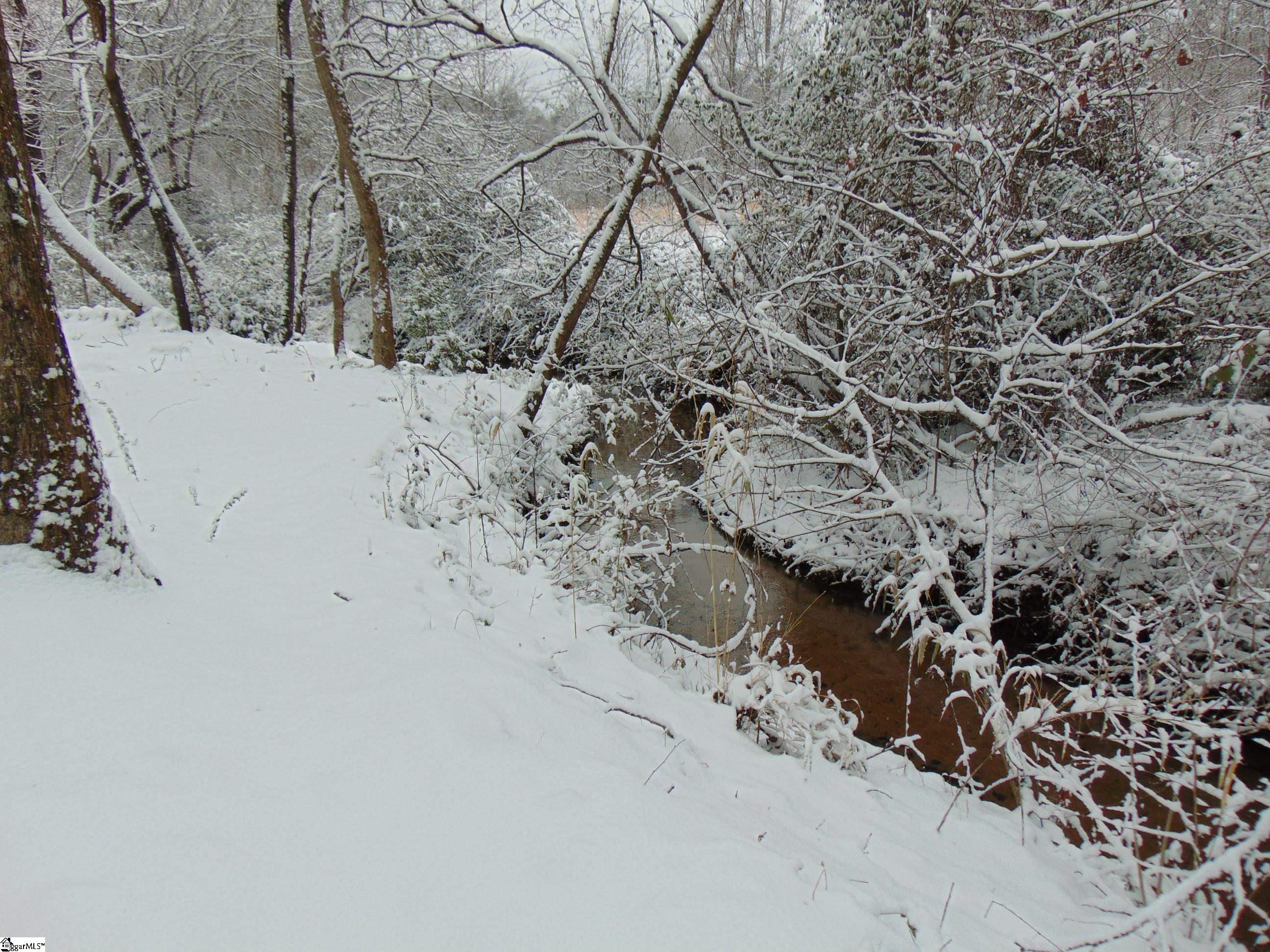 65 Quantums Way Marietta, SC 29661 - Photo 9 of 13