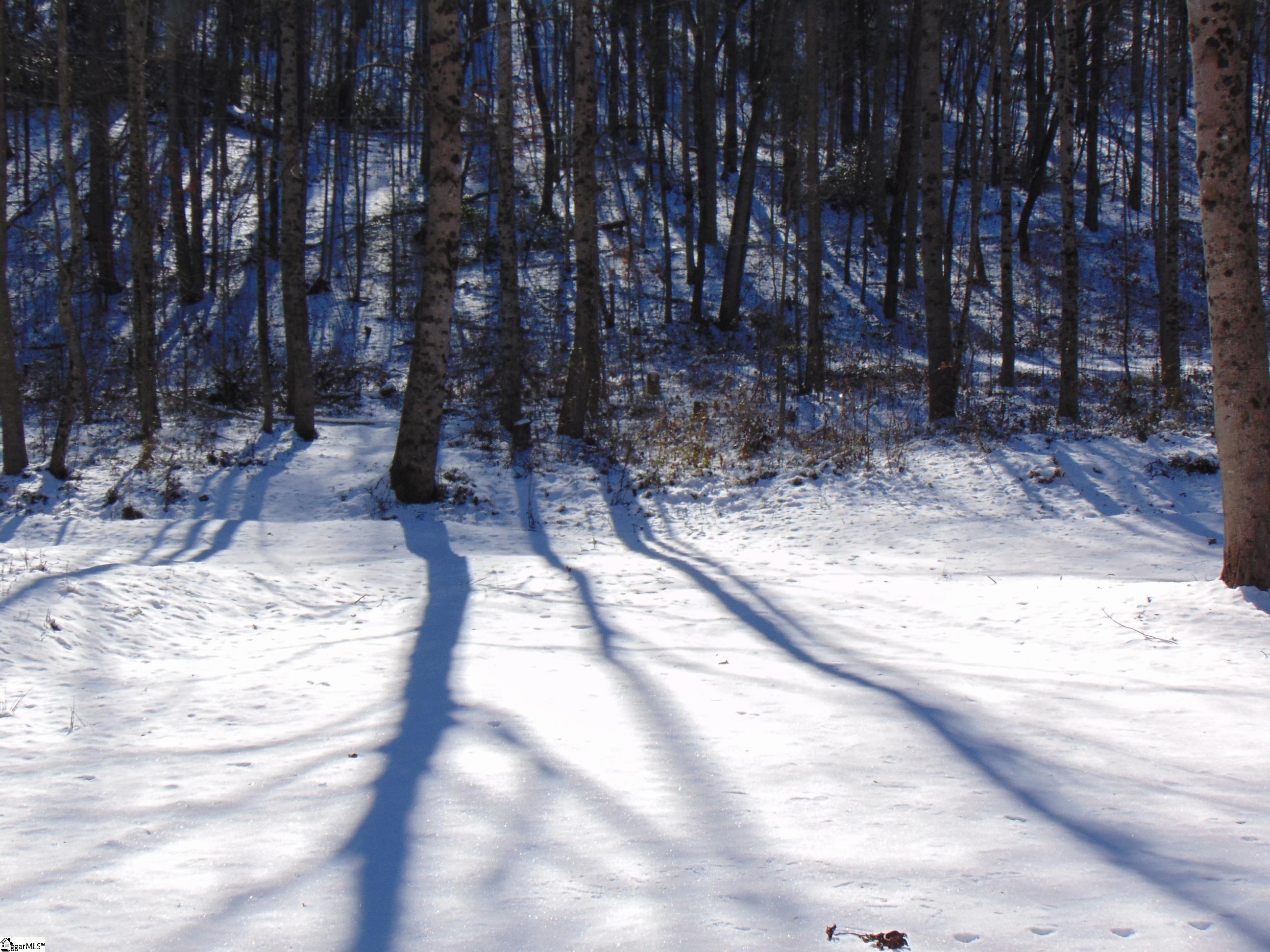 65 Quantums Way Marietta, SC 29661 - Photo 10 of 13