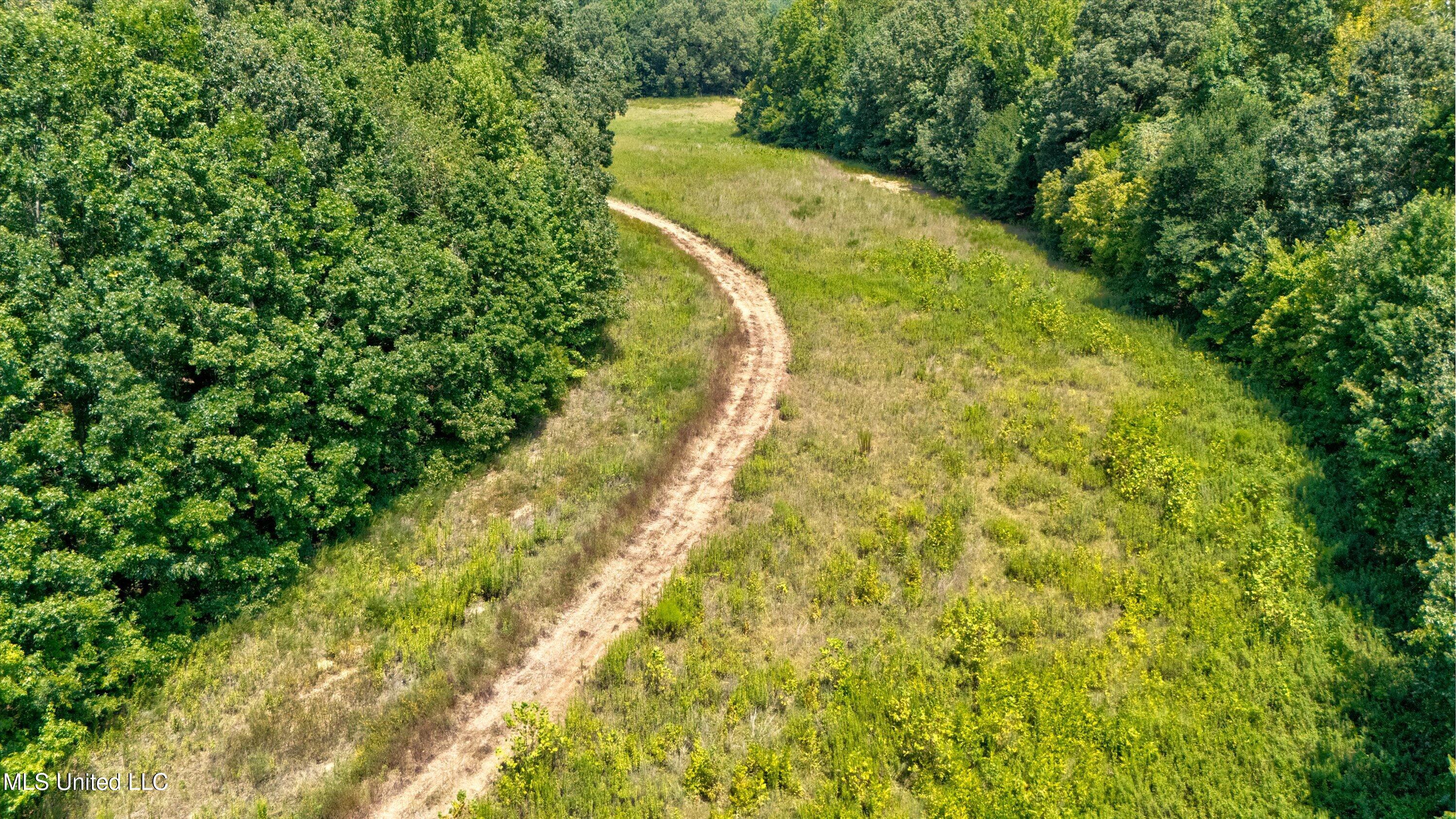 2 Church Road Walls, MS 38680 - Photo 11 of 32 20-New-1