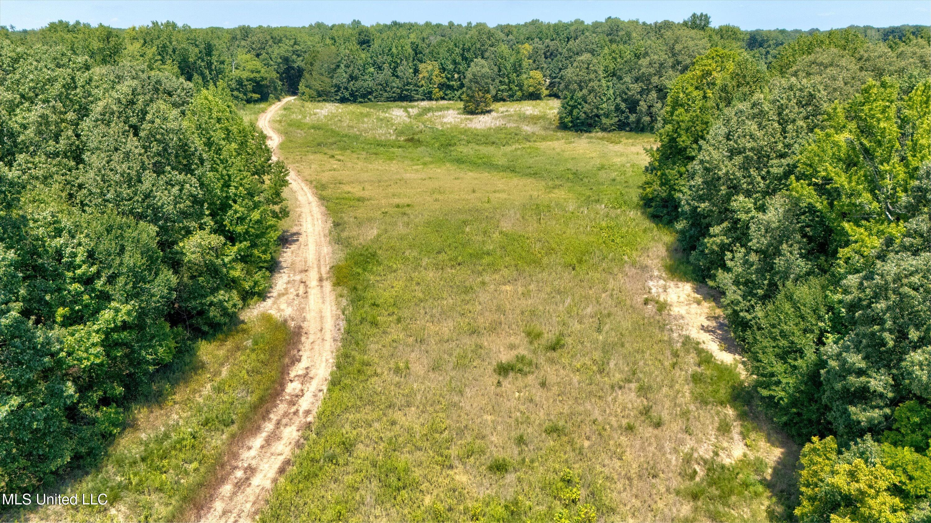 2 Church Road Walls, MS 38680 - Photo 12 of 32 21-New-2
