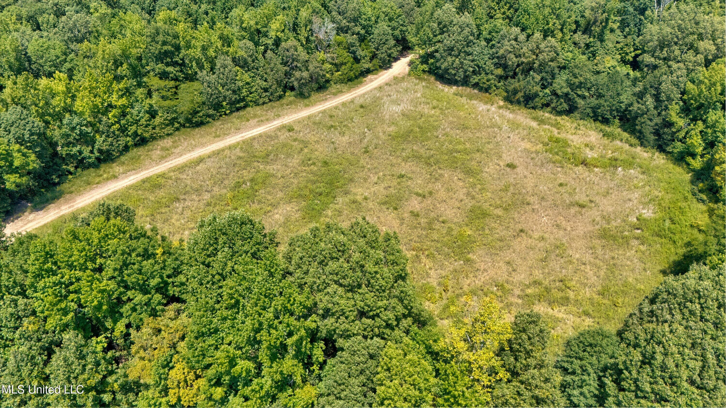 2 Church Road Walls, MS 38680 - Photo 16 of 32 25-New-6