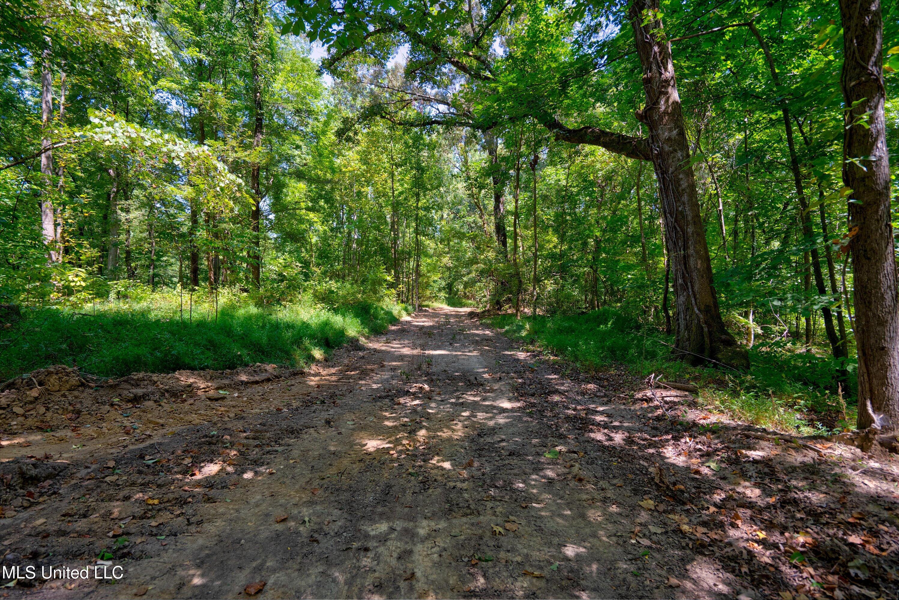 2 Church Road Walls, MS 38680 - Photo 25 of 32 34-New-15