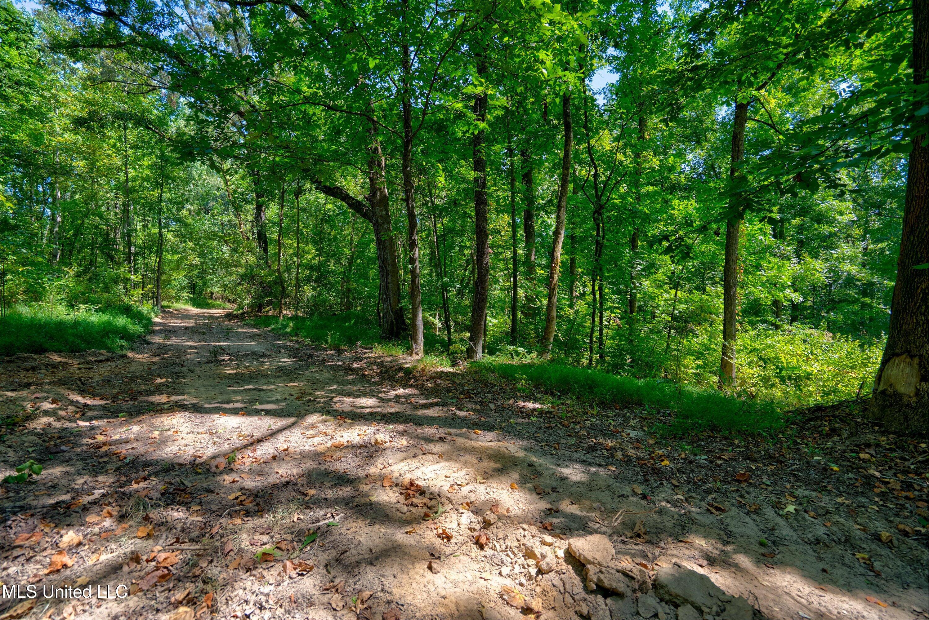 2 Church Road Walls, MS 38680 - Photo 26 of 32 35-New-16