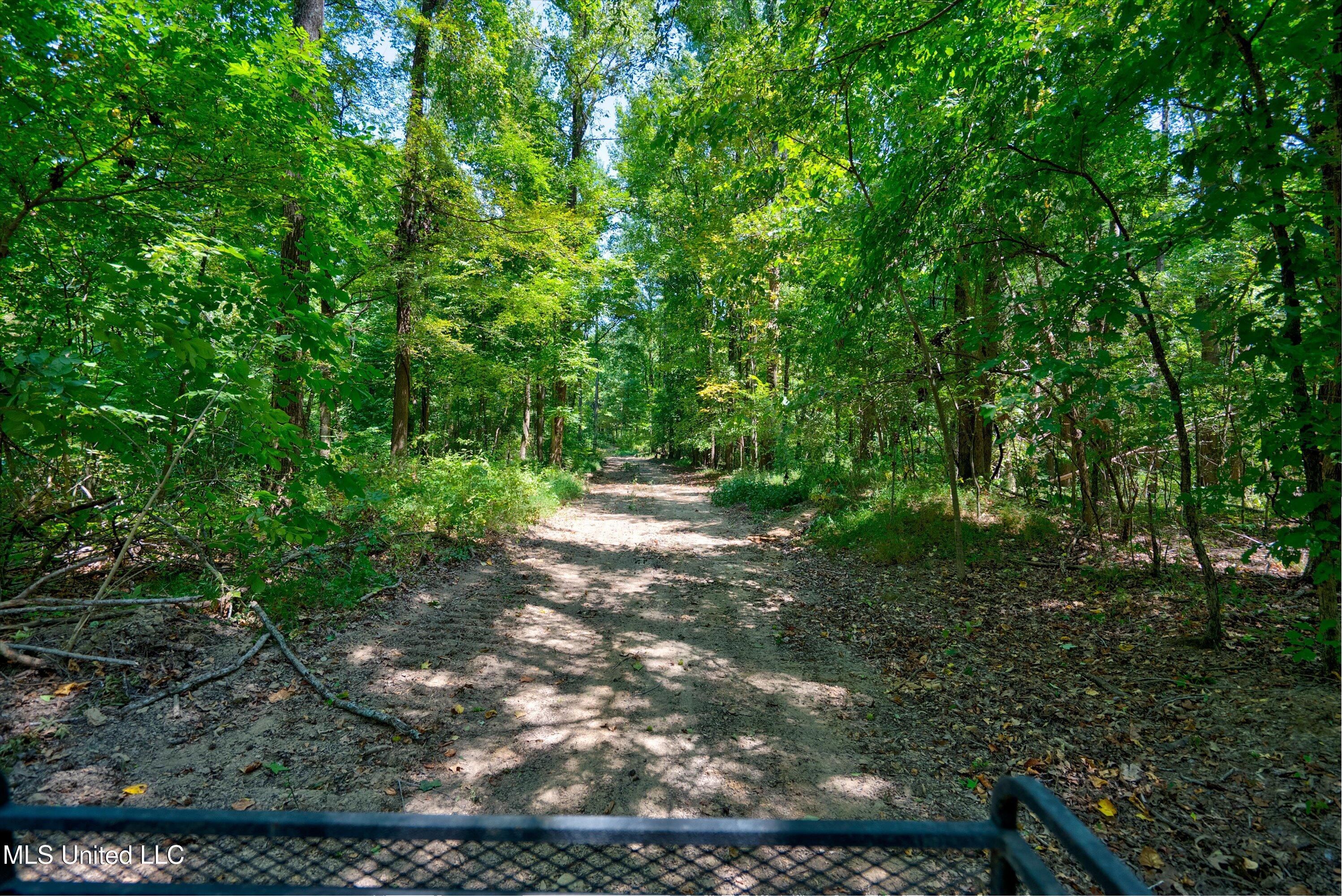 2 Church Road Walls, MS 38680 - Photo 27 of 32 36-New-17