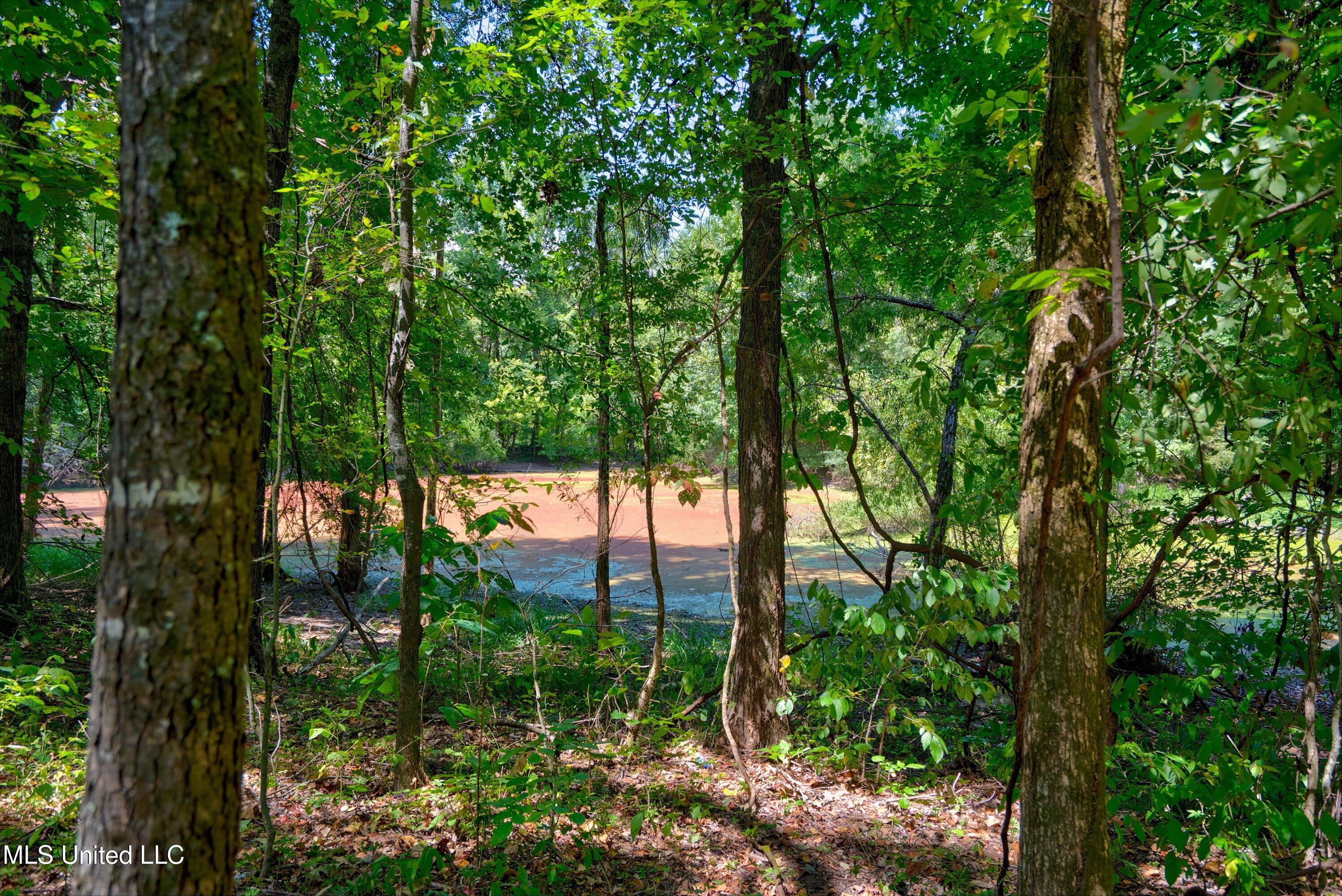 2 Church Road Walls, MS 38680 - Photo 28 of 32 37-New-18