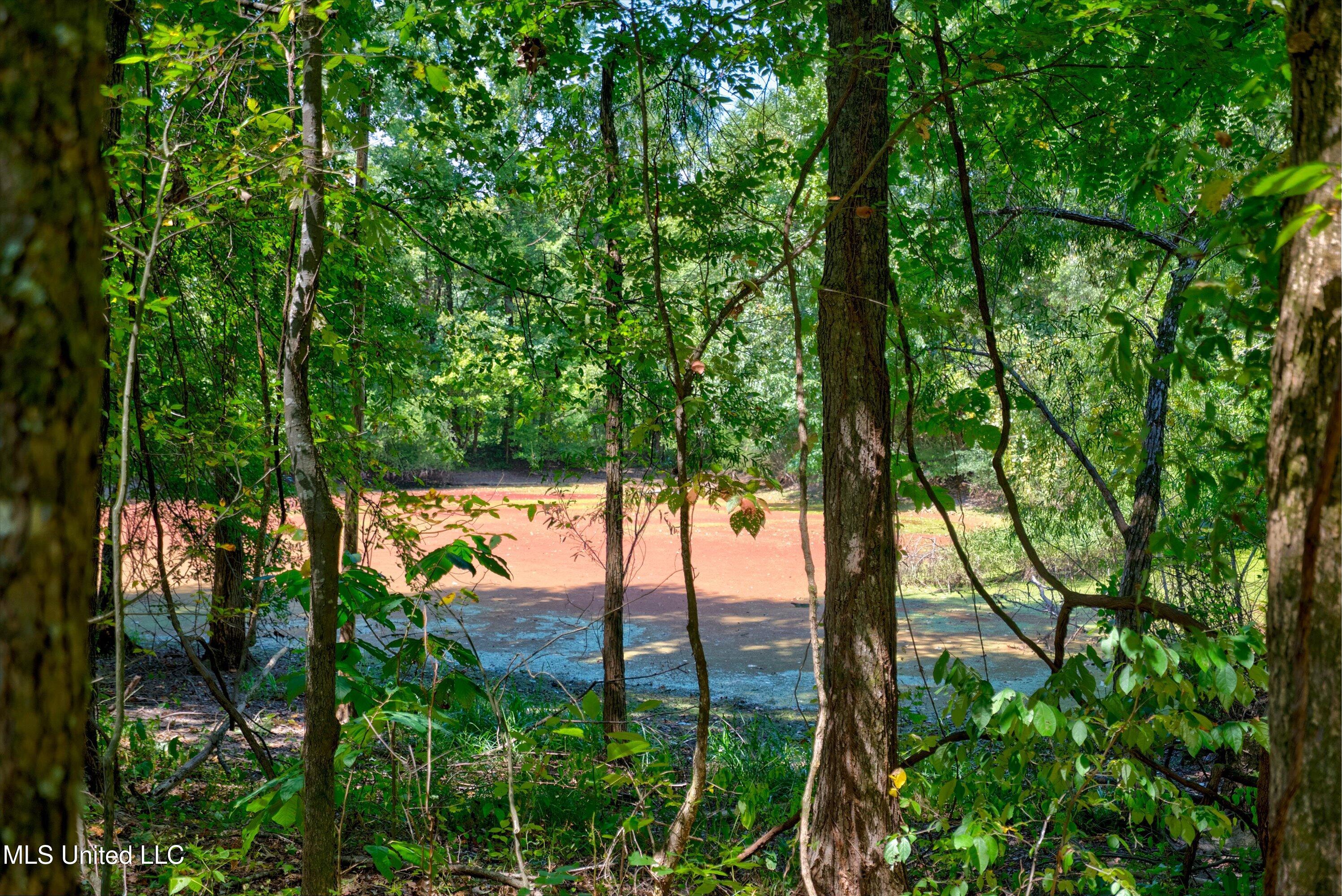 2 Church Road Walls, MS 38680 - Photo 29 of 32 38-New-19
