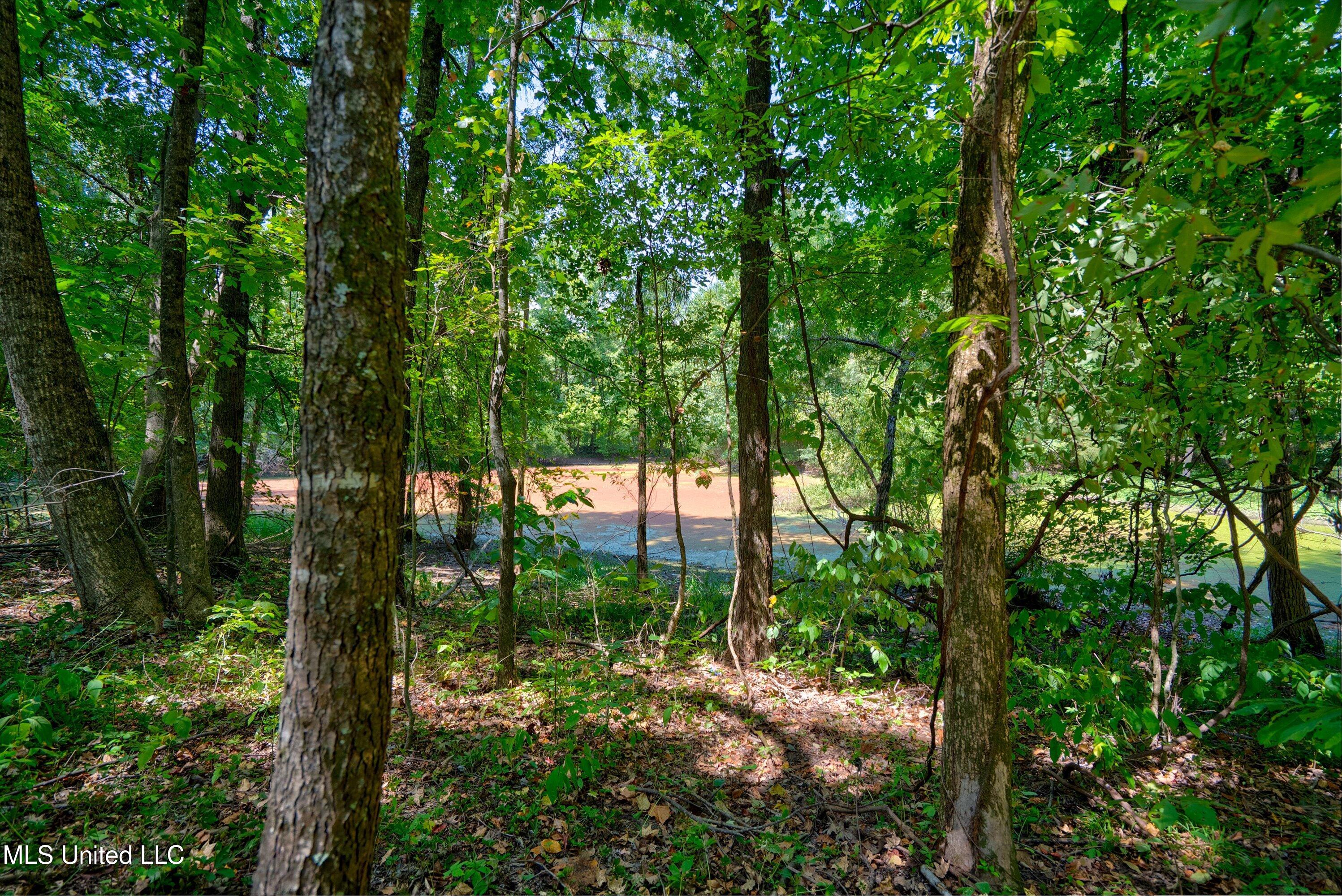 2 Church Road Walls, MS 38680 - Photo 30 of 32 39-New-20