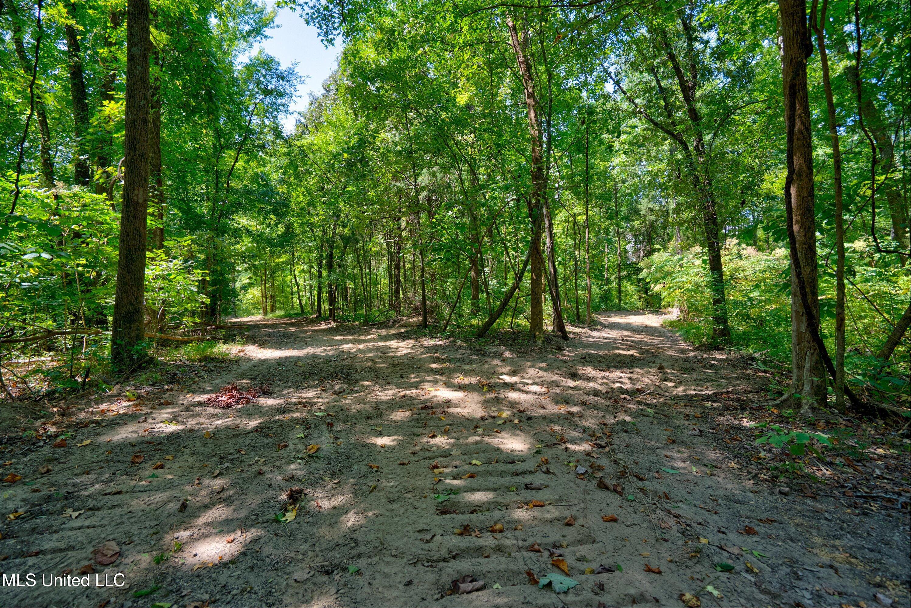 2 Church Road Walls, MS 38680 - Photo 31 of 32 40-New-21