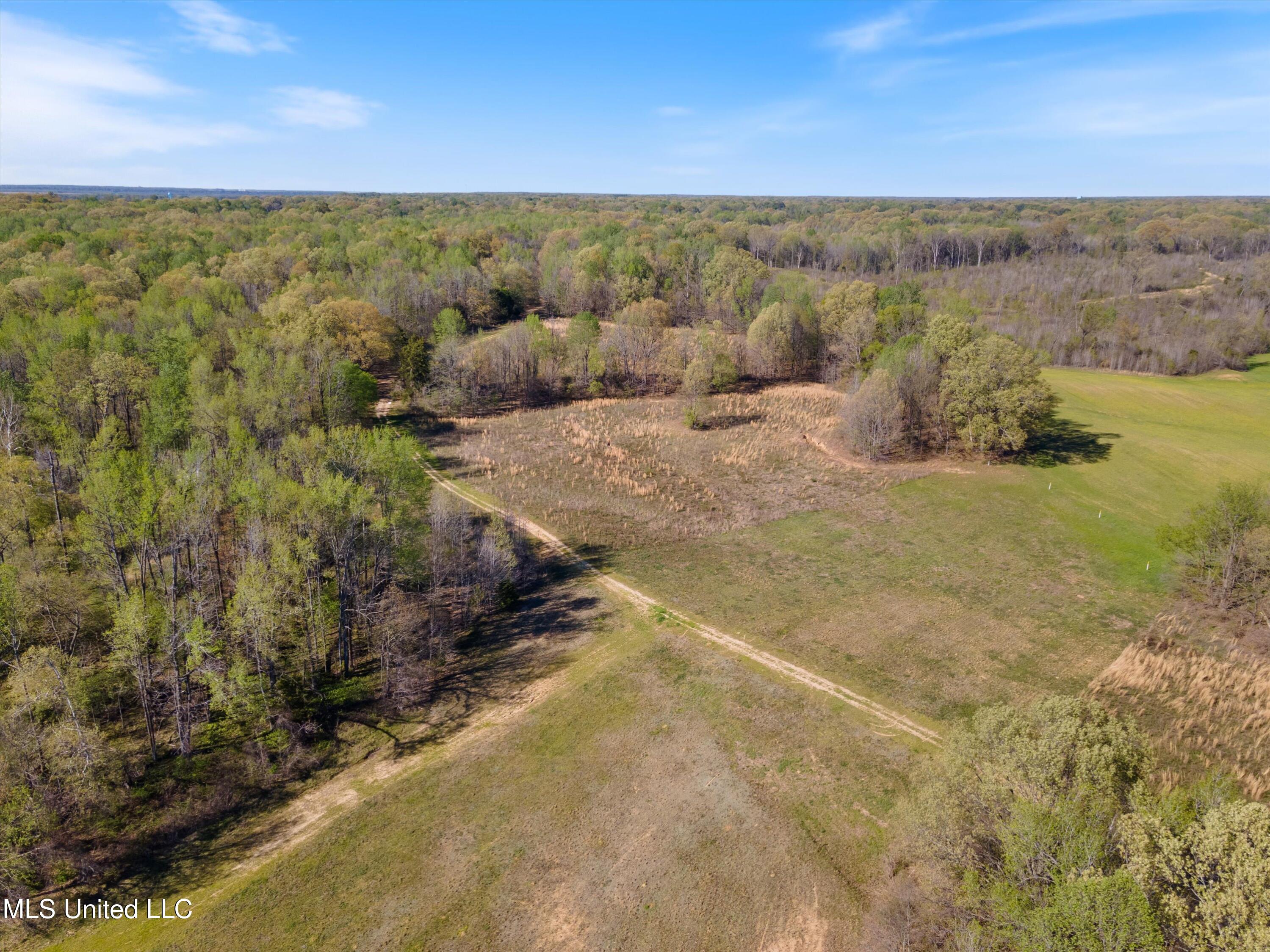 2 Church Road Walls, MS 38680 - Photo 5 of 32 14-Land