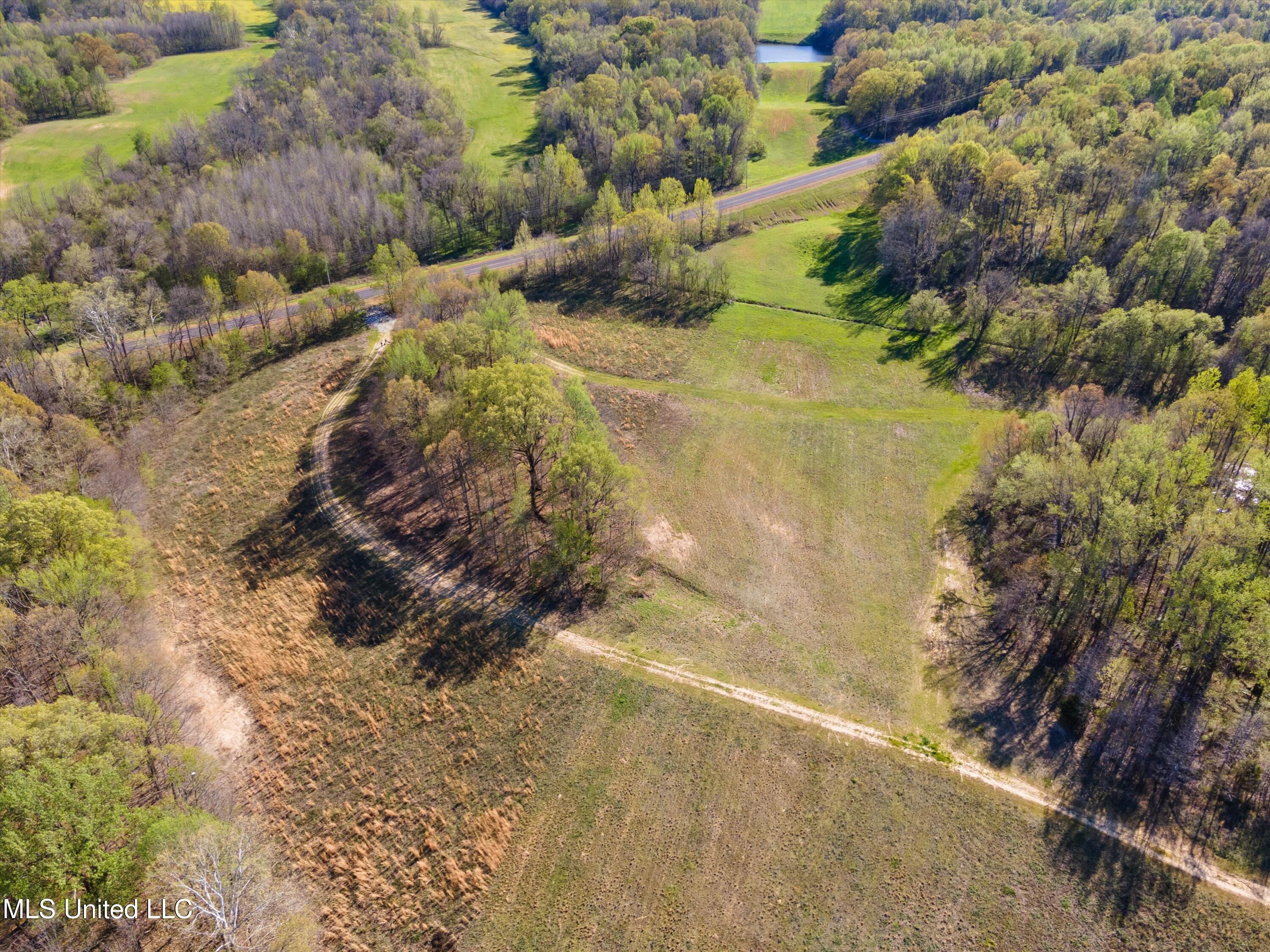 2 Church Road Walls, MS 38680 - Photo 7 of 32 16-Land