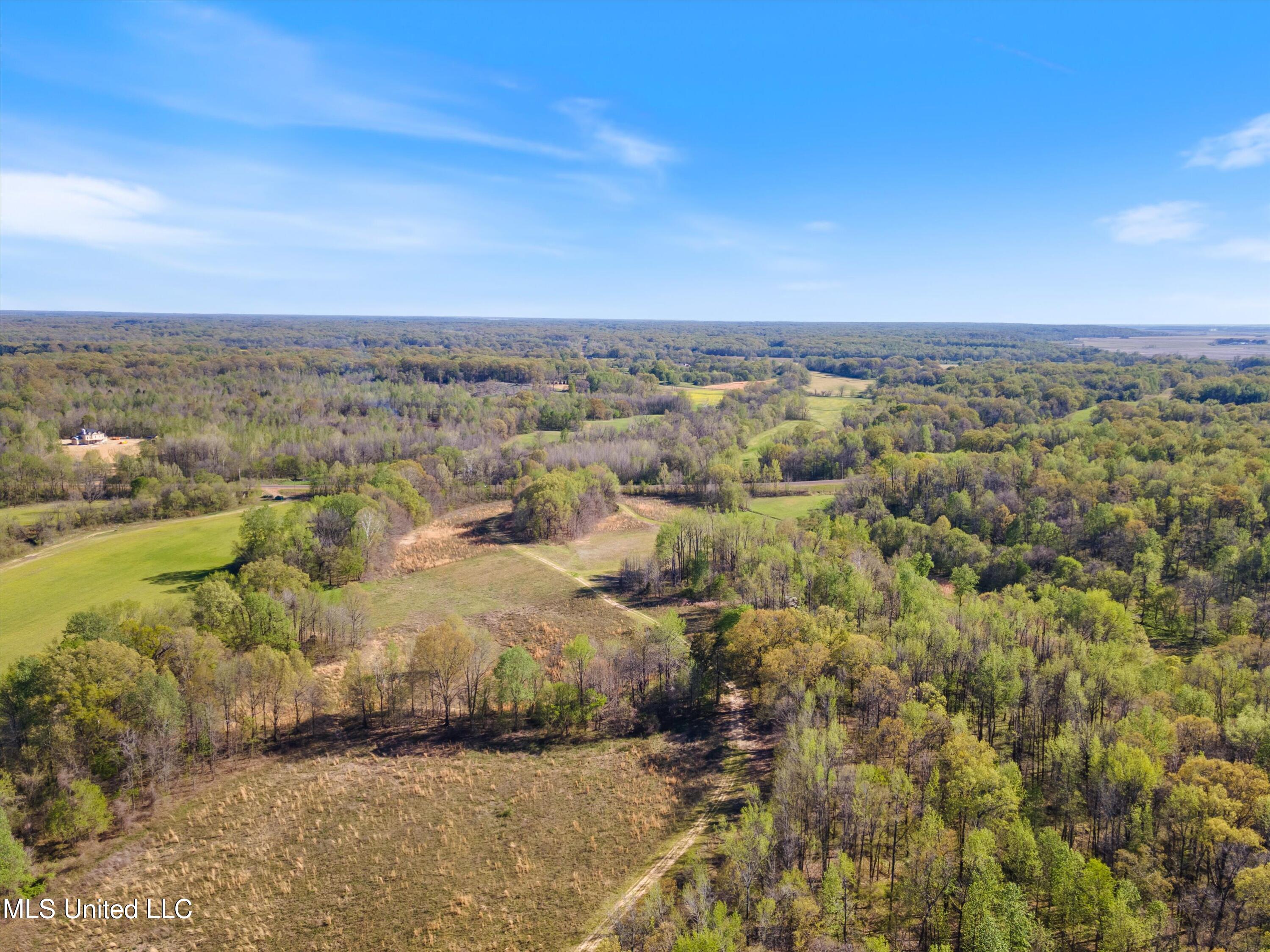 2 Church Road Walls, MS 38680 - Photo 10 of 32 19-Land