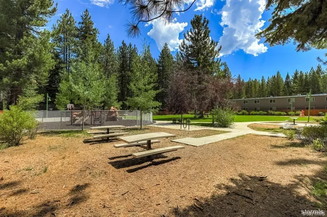 a view of a swimming pool with a yard and large trees