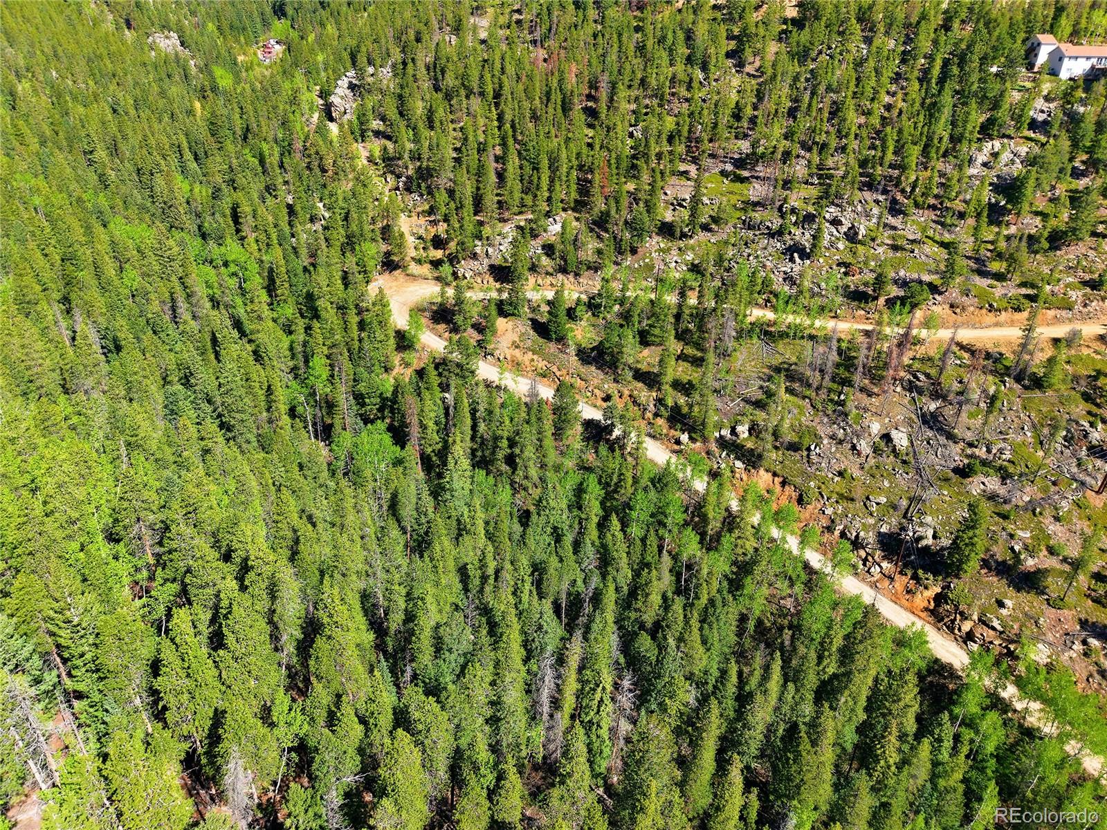 600 Ute Creek Road Idaho Springs, CO 80452 - Photo 3 of 24 a view of a big yard with plants and wooden bench