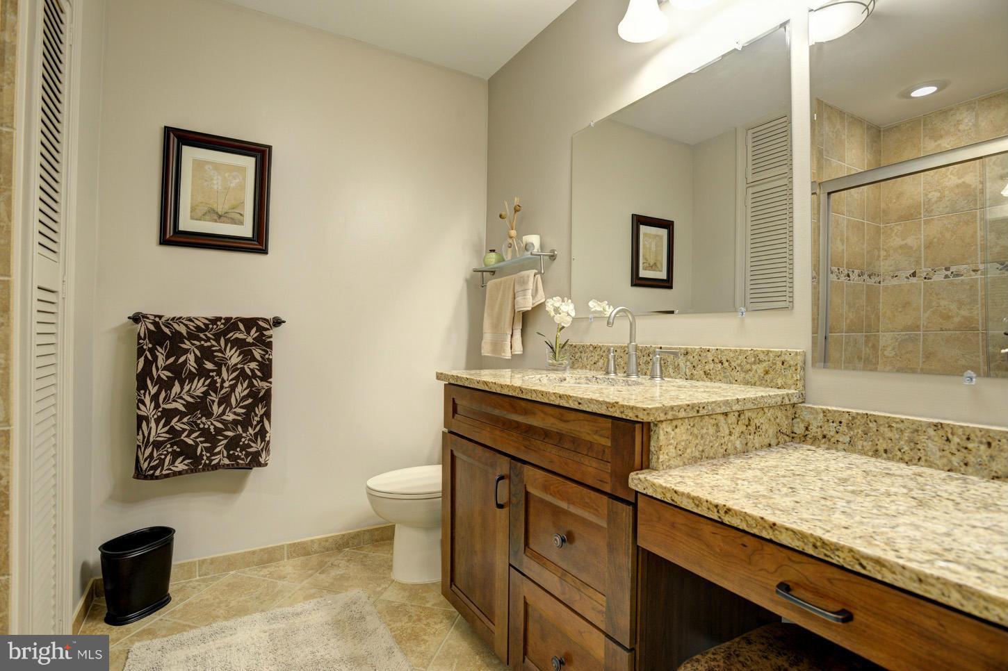 1605 Chester Mill Road Silver Spring, MD 20906 - Photo 21 of 30 Bath (Master)