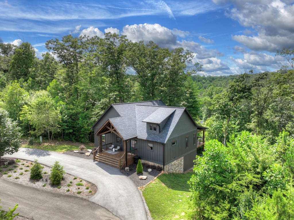 141 Long View Lane Blue Ridge, GA 30513 - Photo 61 of 61 an aerial view of a house with a yard