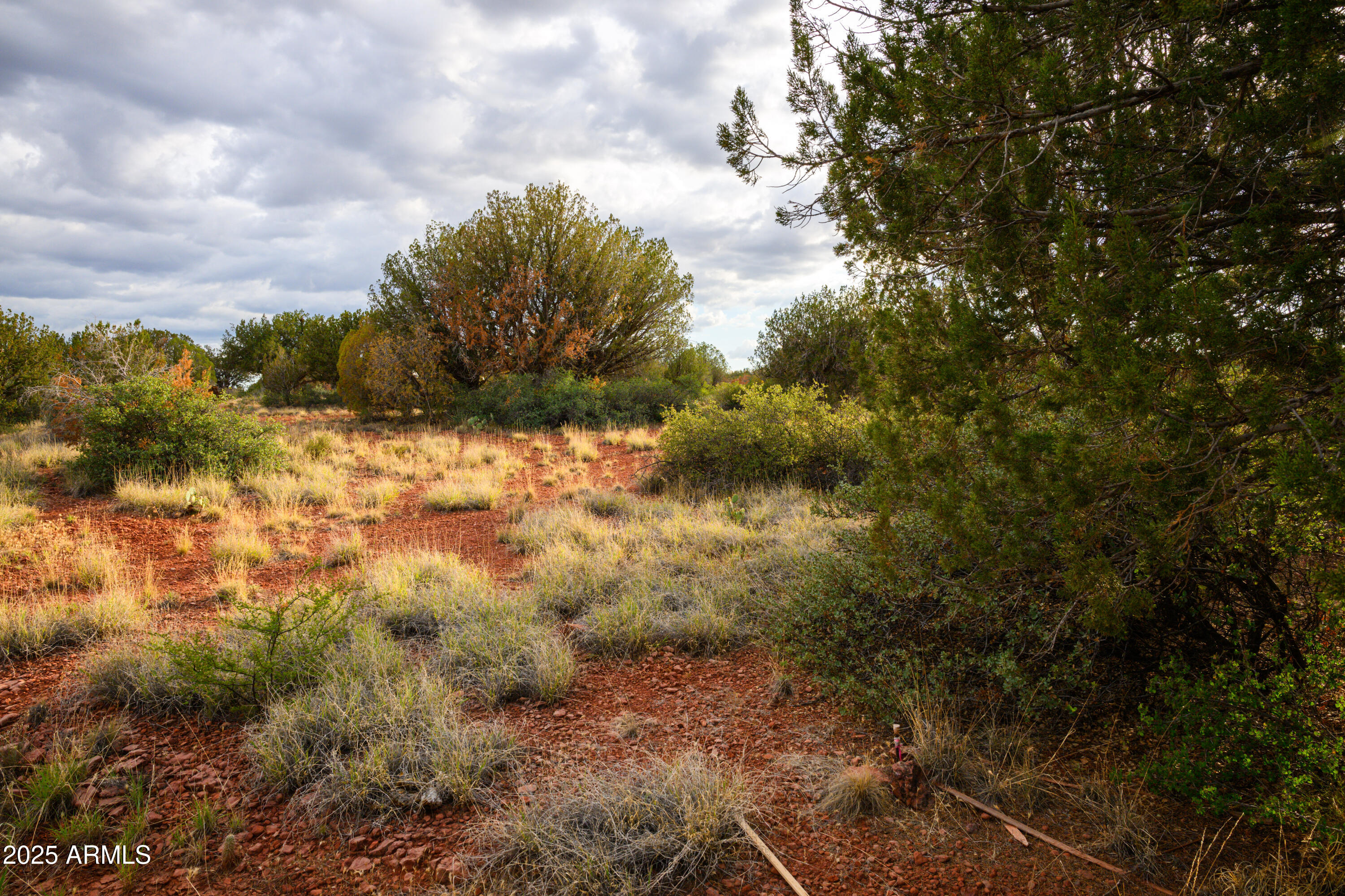 55 Estrella Road, Unit 5 Sedona, AZ 86336 - Photo 22 of 61 a view of a bunch of trees and bushes