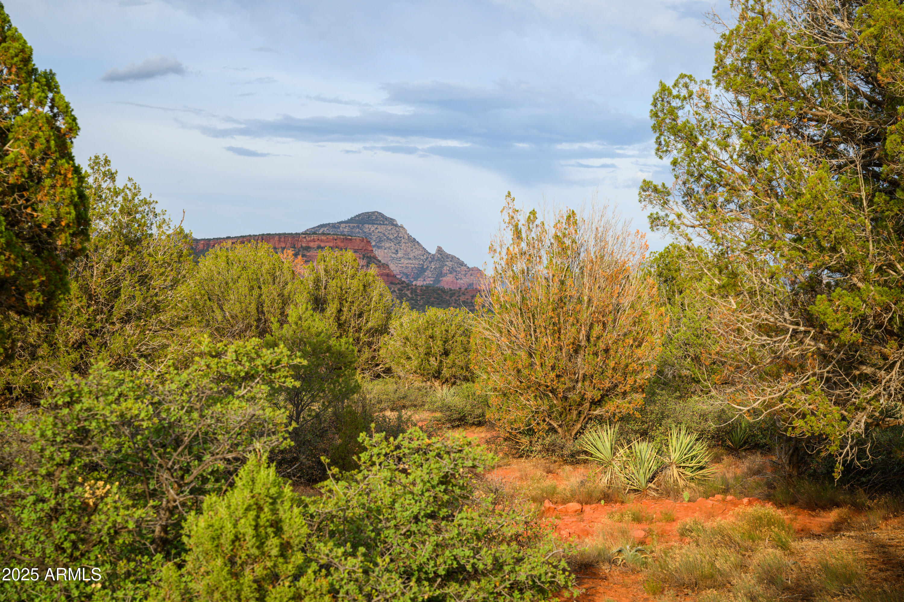 55 Estrella Road, Unit 5 Sedona, AZ 86336 - Photo 27 of 61 a view of a large yard with lots of bushes