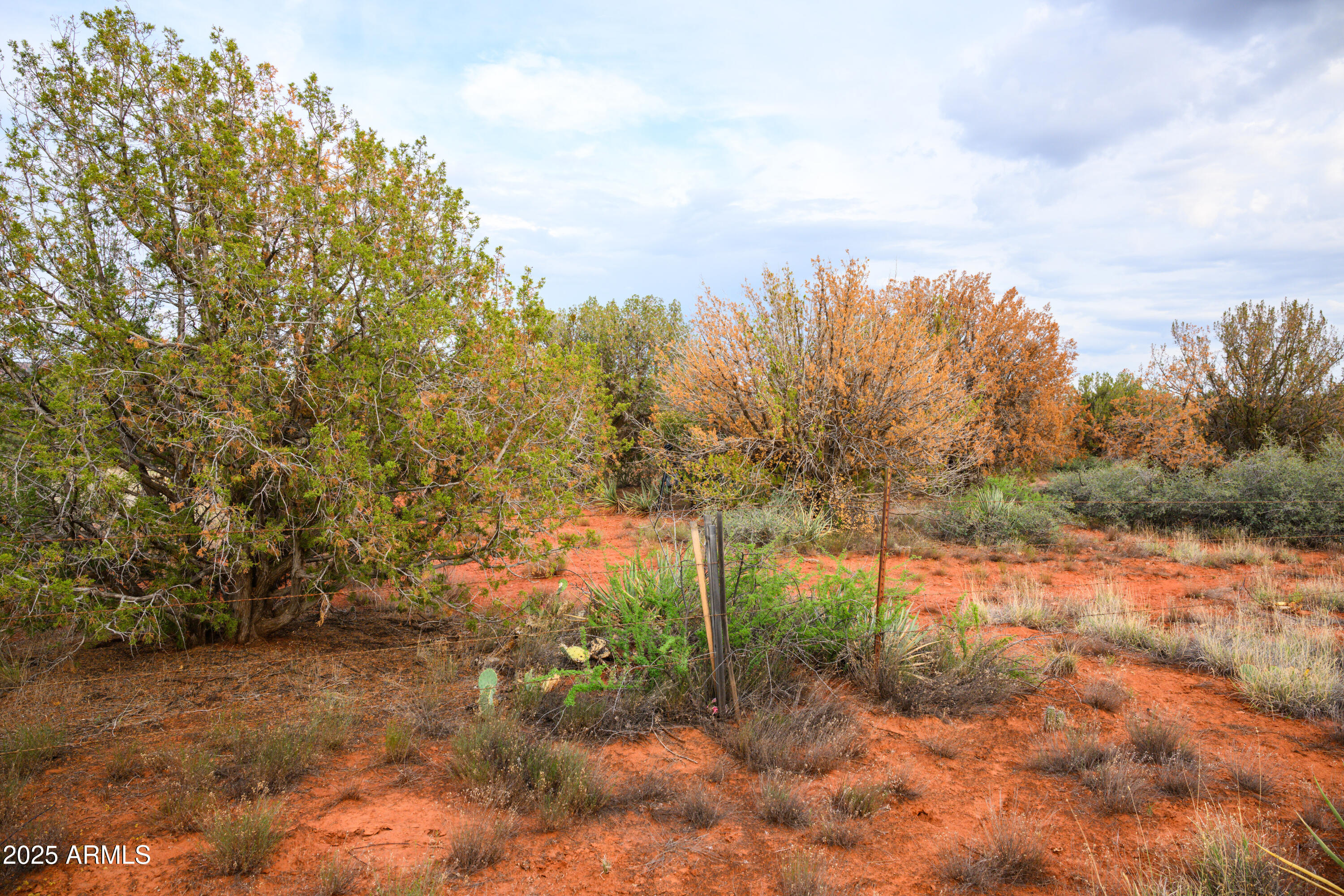 55 Estrella Road, Unit 5 Sedona, AZ 86336 - Photo 29 of 61 a view of a yard with trees in front of it