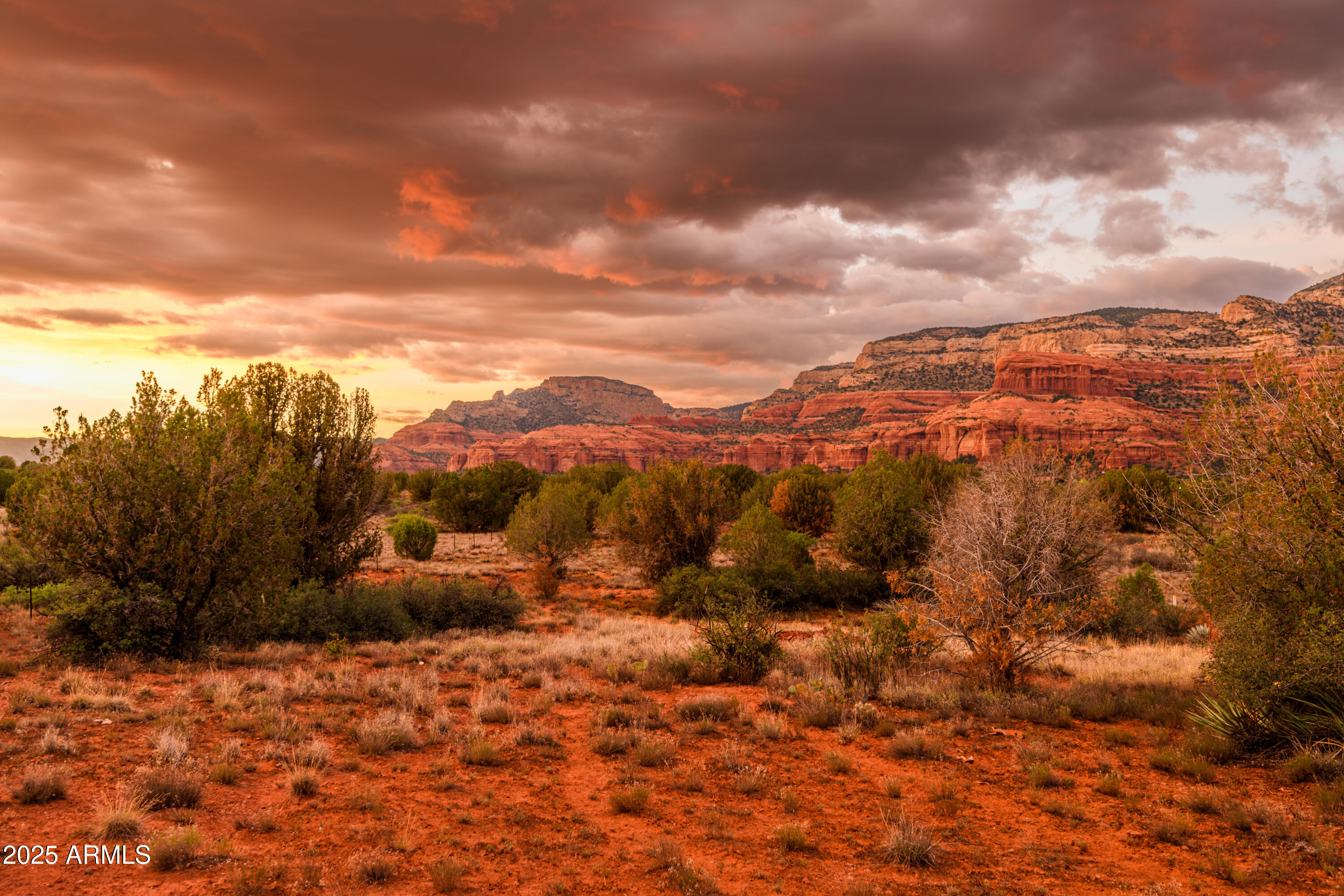 55 Estrella Road, Unit 5 Sedona, AZ 86336 - Photo 54 of 61 a view of a dry yard with trees