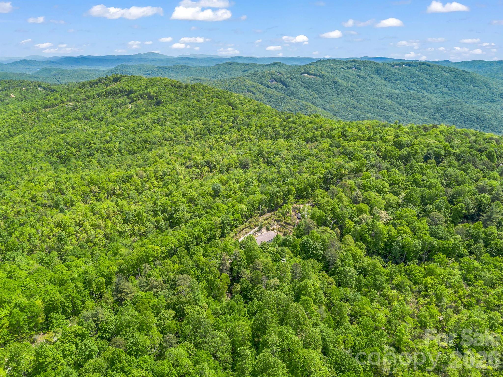 2053 Nancy Mountain Road Rosman, NC 28772 - Photo 46 of 47