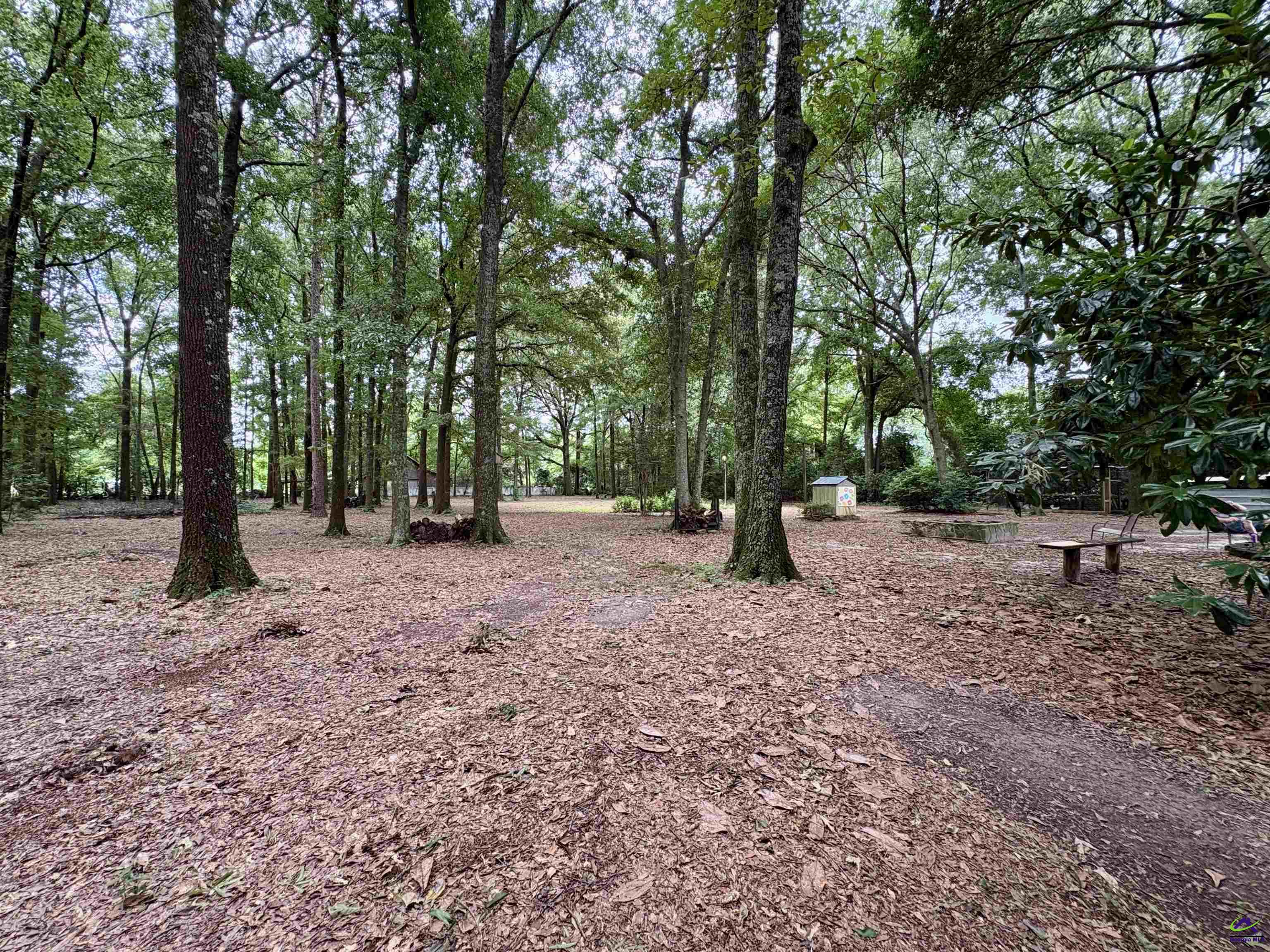 323 Giles Road Byron, GA 31008 - Photo 27 of 27 Gallery Image 27