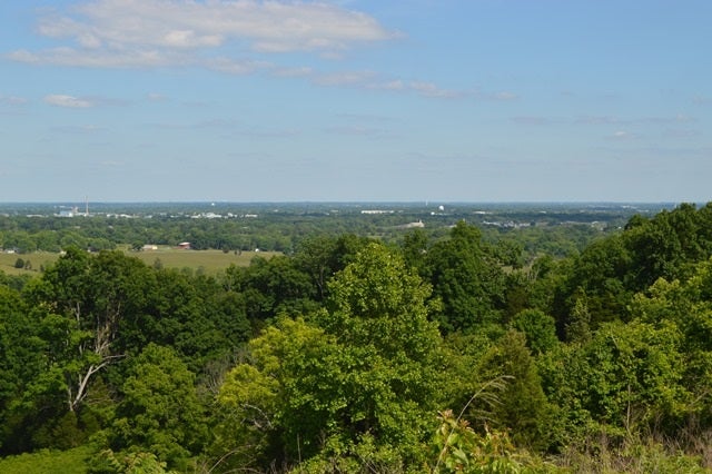 0 Blue Level Providence Road Rockfield, KY 42274 - Photo 6 of 7 Gallery Image 6