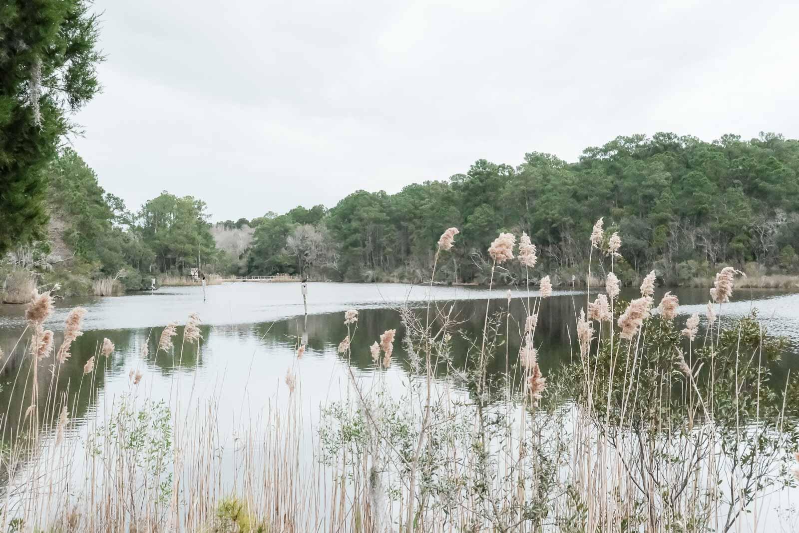 2812 Caitlin's Way Mount Pleasant, SC 29466 - Photo 32 of 37 Laurel Hill County Park-3