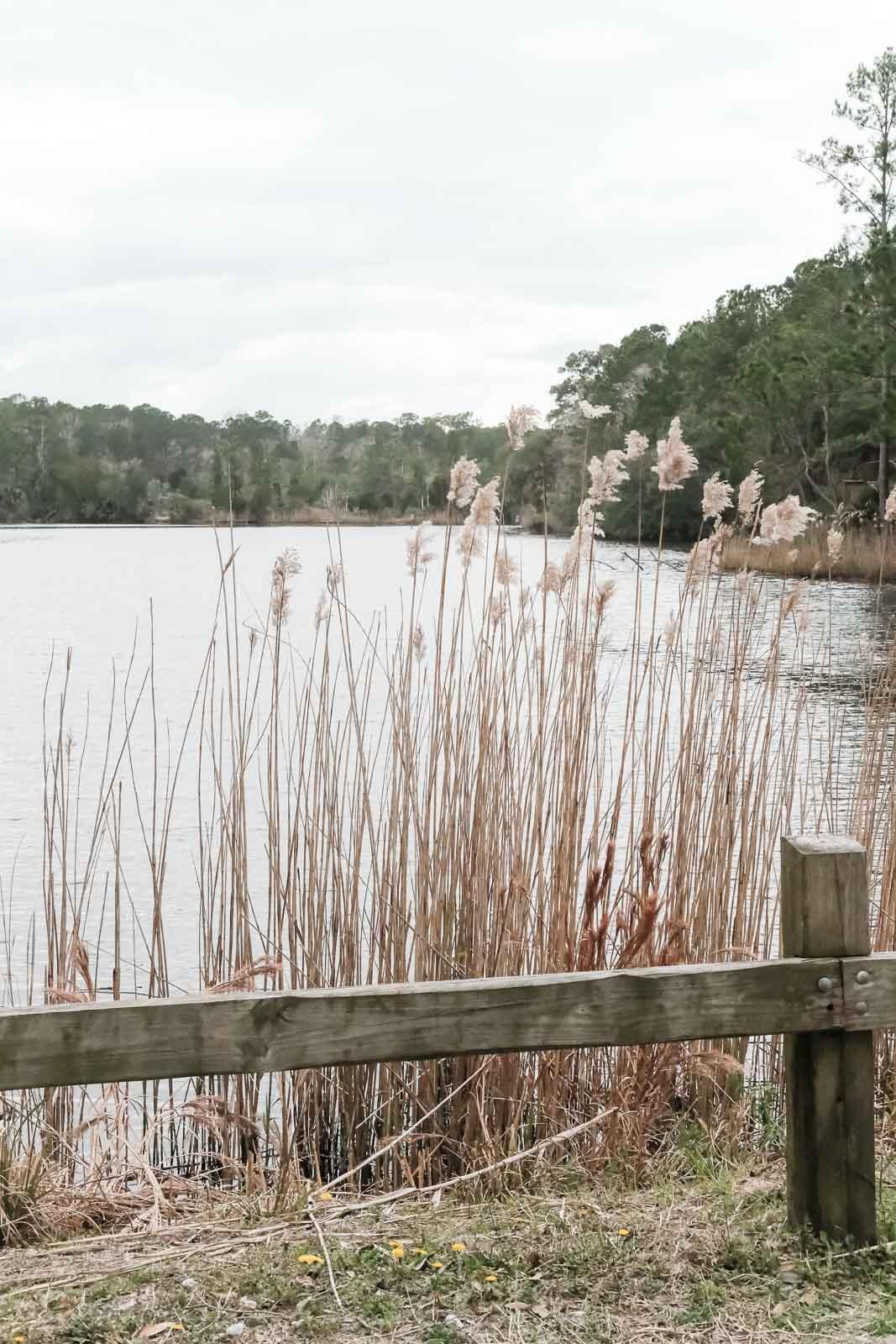 2812 Caitlin's Way Mount Pleasant, SC 29466 - Photo 34 of 37 Laurel Hill County Park-4