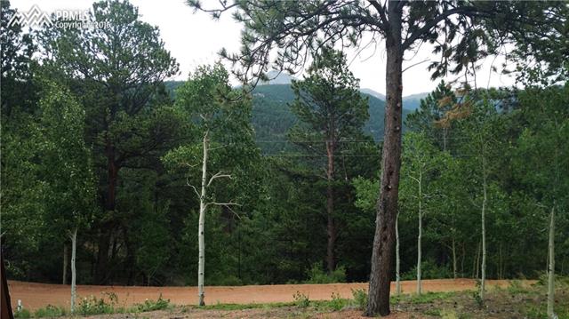 423 Valley Road Divide, CO 80814 - Photo 22 of 28 Gallery Image 22