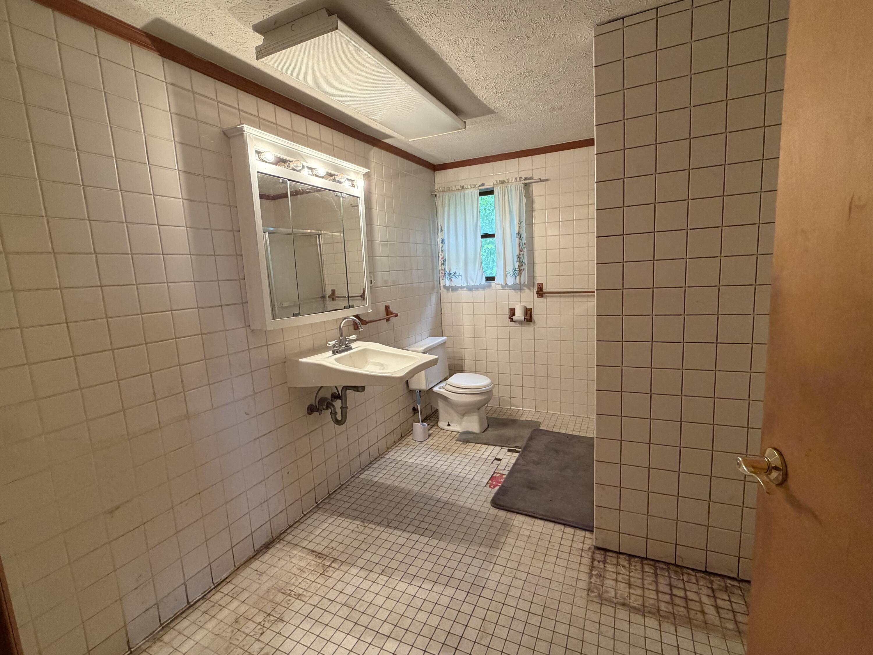 4488 Miriam Road Belding, MI 48809 - Photo 7 of 31 IMG_8625