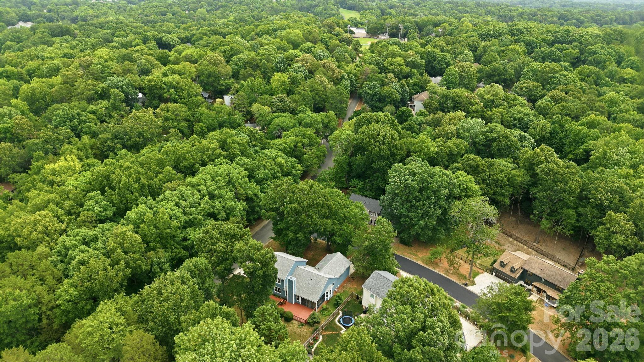 7038 Chelsea Day Lane Tega Cay, SC 29708 - Photo 37 of 47
