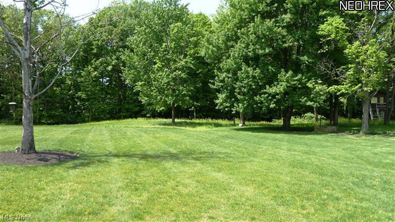11159 Prouty Road Painesville, OH 44077 - Photo 15 of 21 Spacious 5.57 Yard