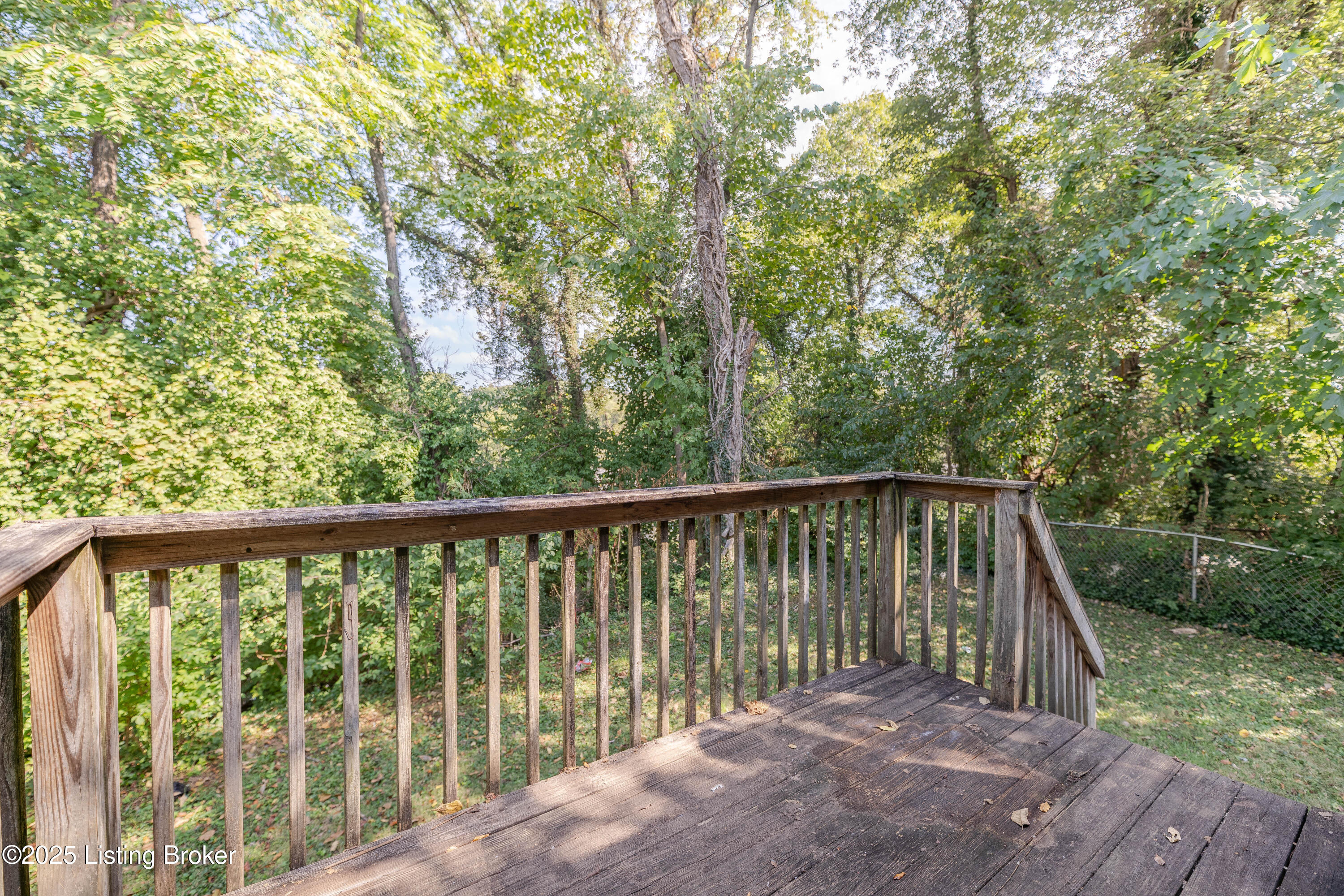 3054 University Road Louisville, KY 40206 - Photo 15 of 17 DSC06778-HDR